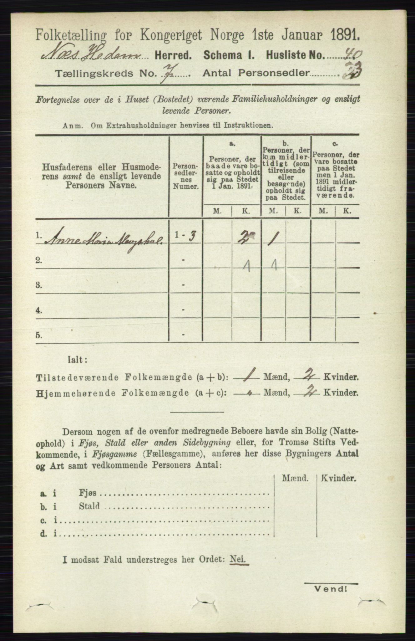 RA, Folketelling 1891 for 0411 Nes herred, 1891, s. 3868