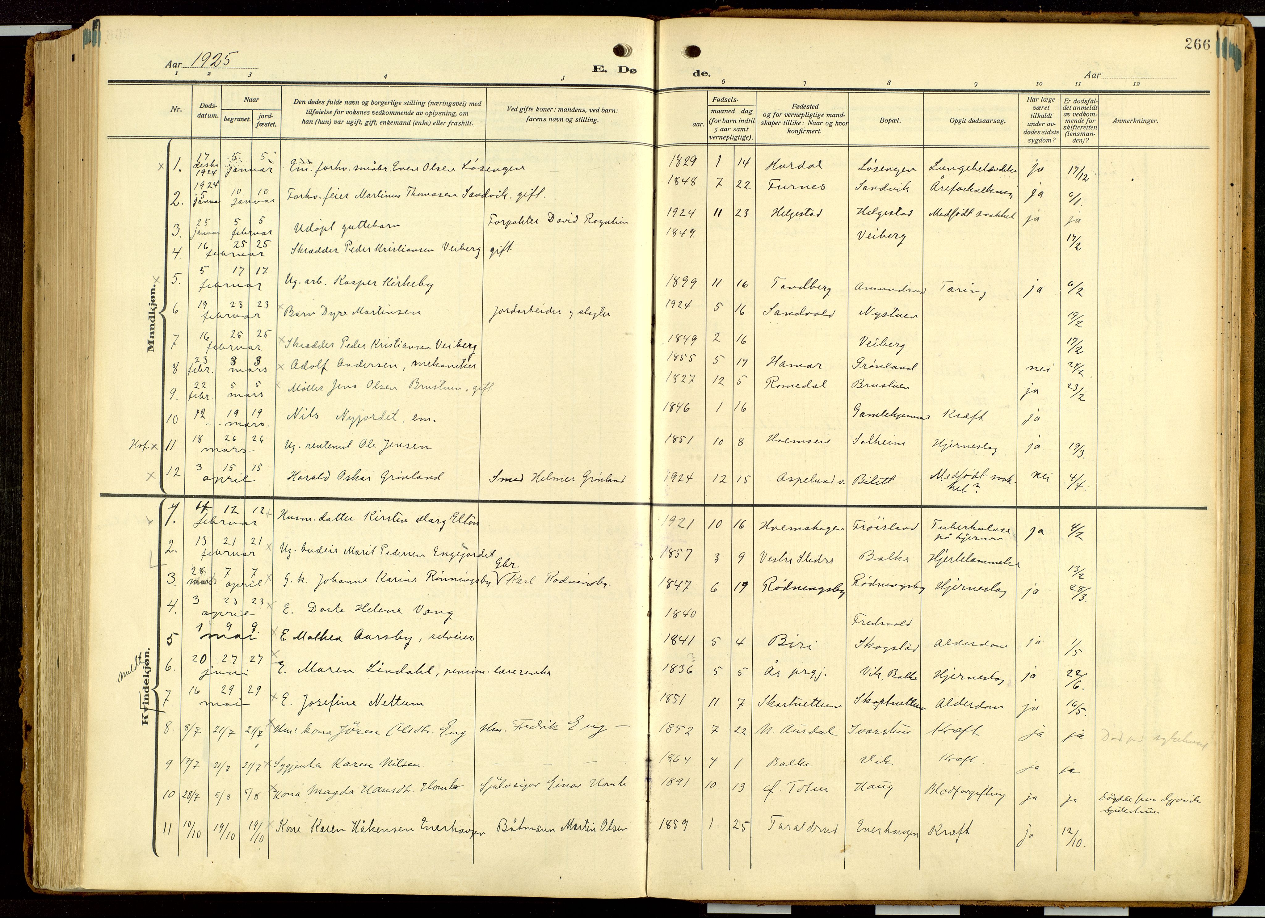 Balke prestekontor, AV/SAH-PREST-106/H/Ha/Haa/L0001: Ministerialbok nr. 1, 1914-1932, s. 266