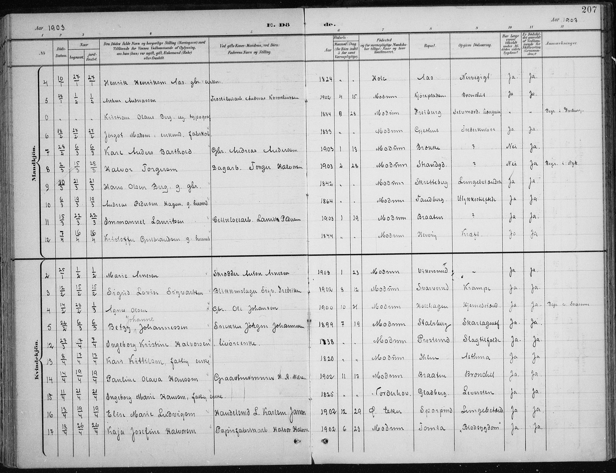 Modum kirkebøker, AV/SAKO-A-234/F/Fa/L0013: Ministerialbok nr. 13, 1899-1907, s. 207