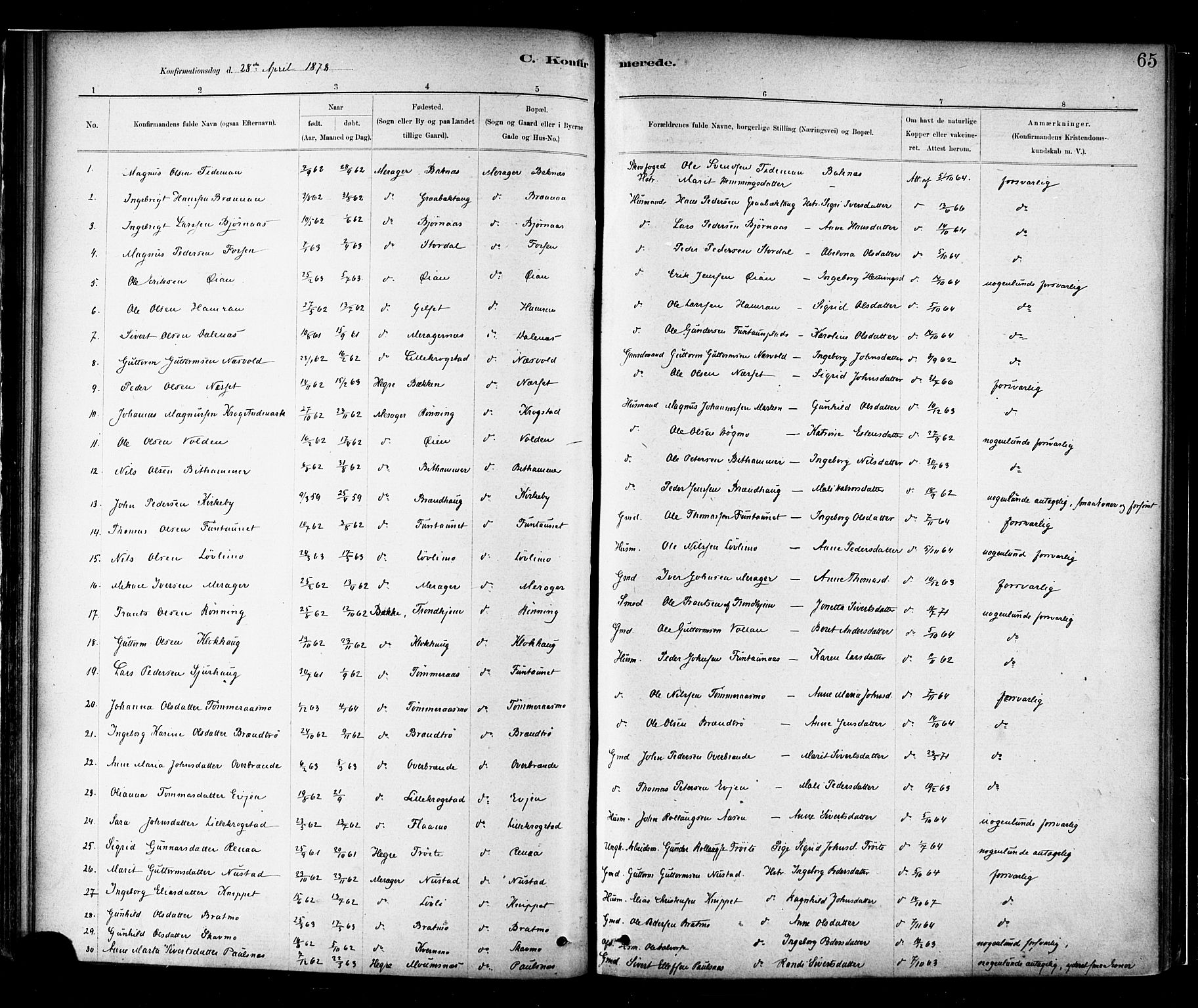 Ministerialprotokoller, klokkerbøker og fødselsregistre - Nord-Trøndelag, AV/SAT-A-1458/706/L0047: Ministerialbok nr. 706A03, 1878-1892, s. 65