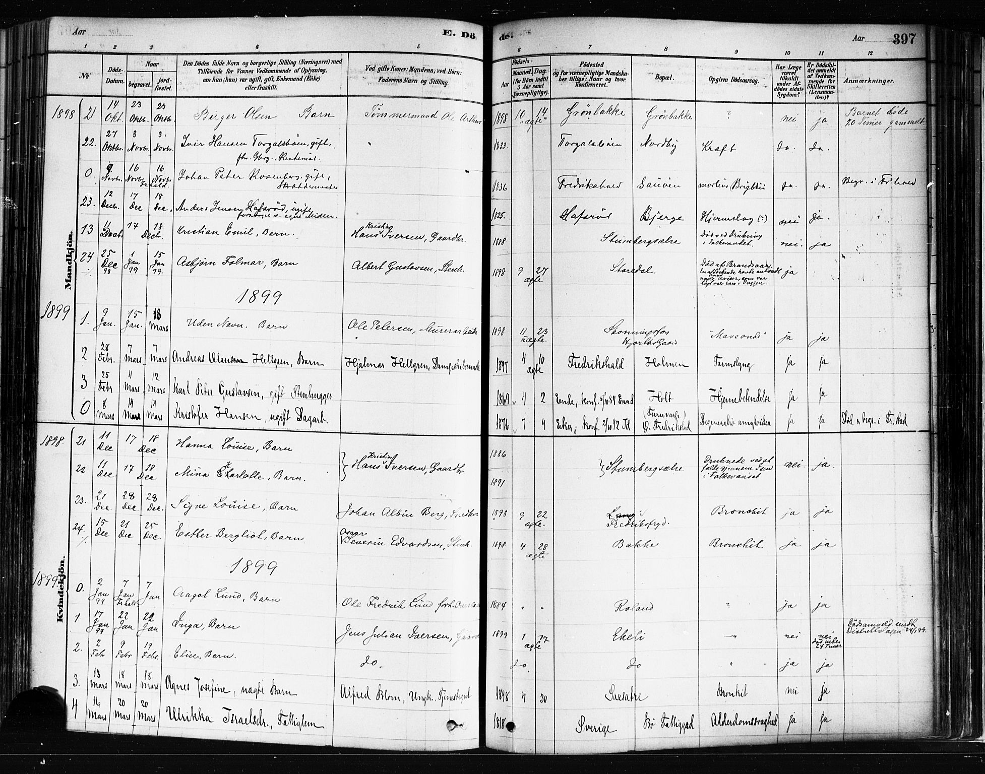 Idd prestekontor Kirkebøker, AV/SAO-A-10911/F/Fc/L0006b: Ministerialbok nr. III 6B, 1878-1903, s. 397