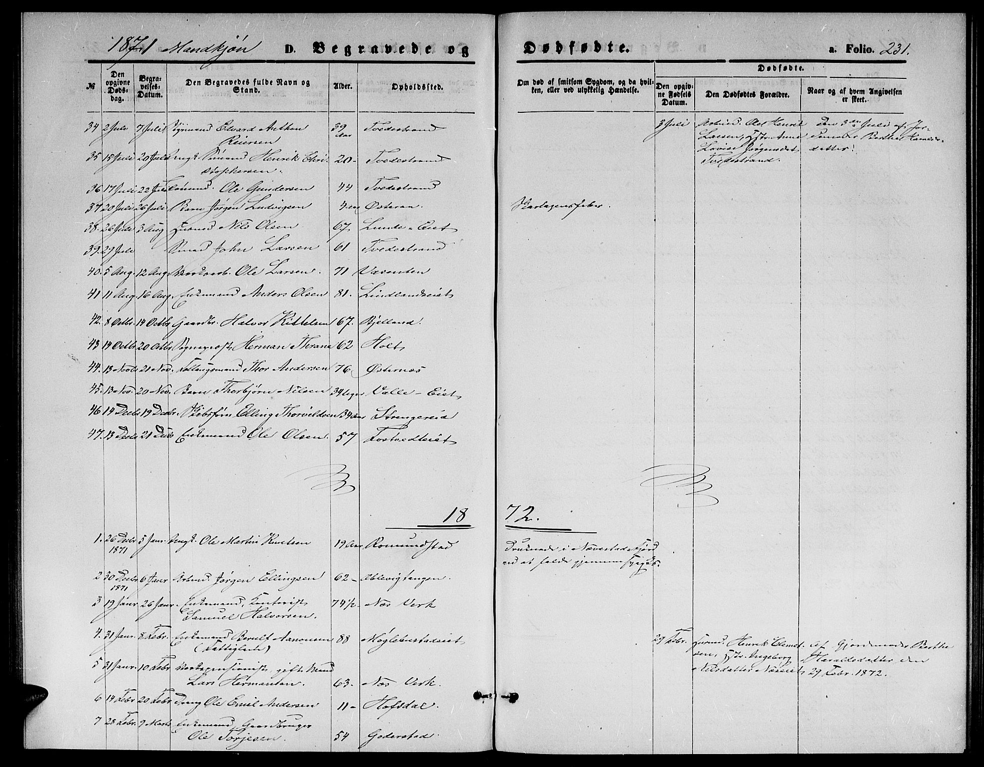 Holt sokneprestkontor, AV/SAK-1111-0021/F/Fb/L0009: Klokkerbok nr. B 9, 1871-1883, s. 231