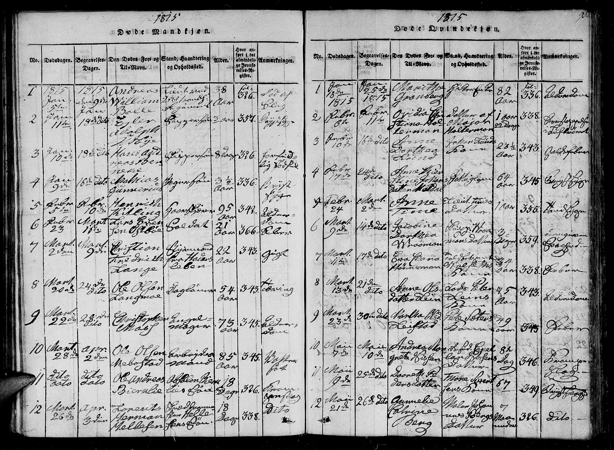 Ministerialprotokoller, klokkerbøker og fødselsregistre - Sør-Trøndelag, SAT/A-1456/602/L0107: Ministerialbok nr. 602A05, 1815-1821, s. 95