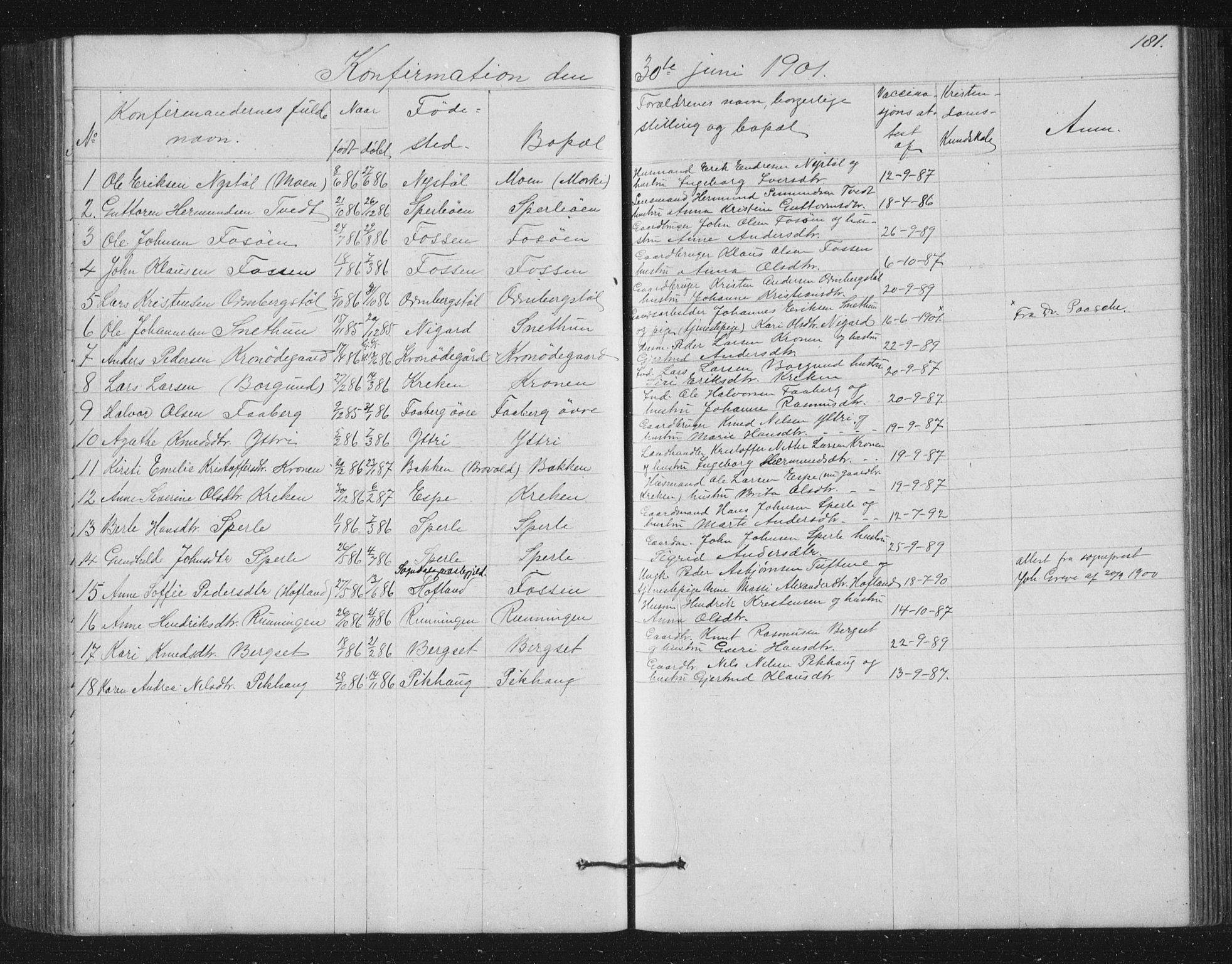 Jostedal sokneprestembete, AV/SAB-A-80601/H/Hab/Haba/L0001: Klokkerbok nr. A 1, 1861-1906, s. 181