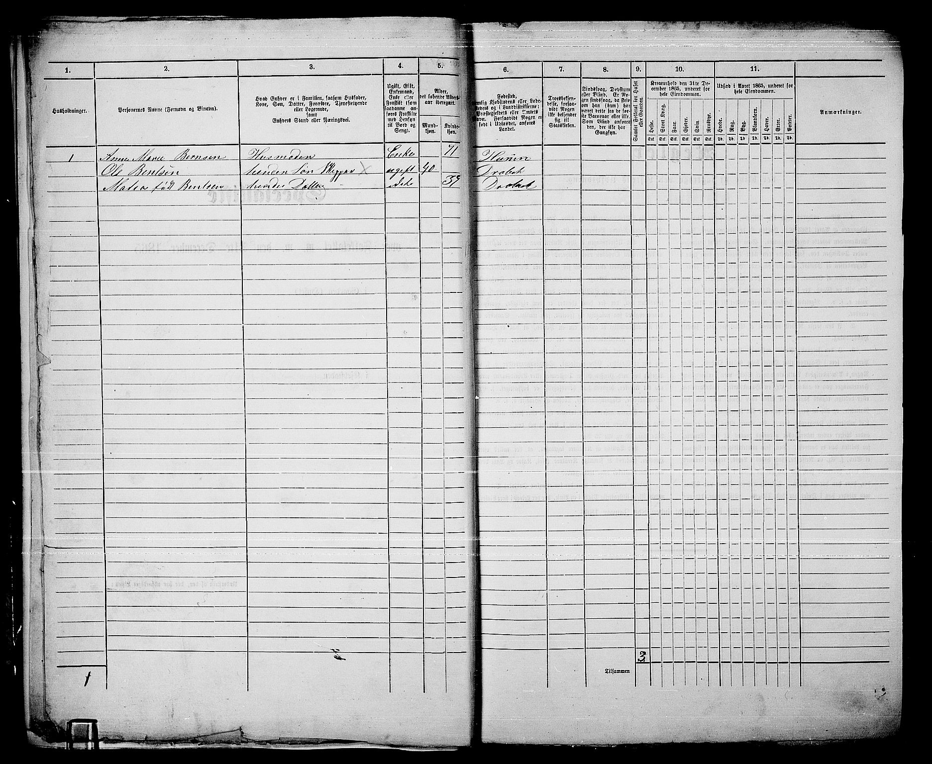 RA, Folketelling 1865 for 0203B Drøbak prestegjeld, Drøbak kjøpstad, 1865, s. 10