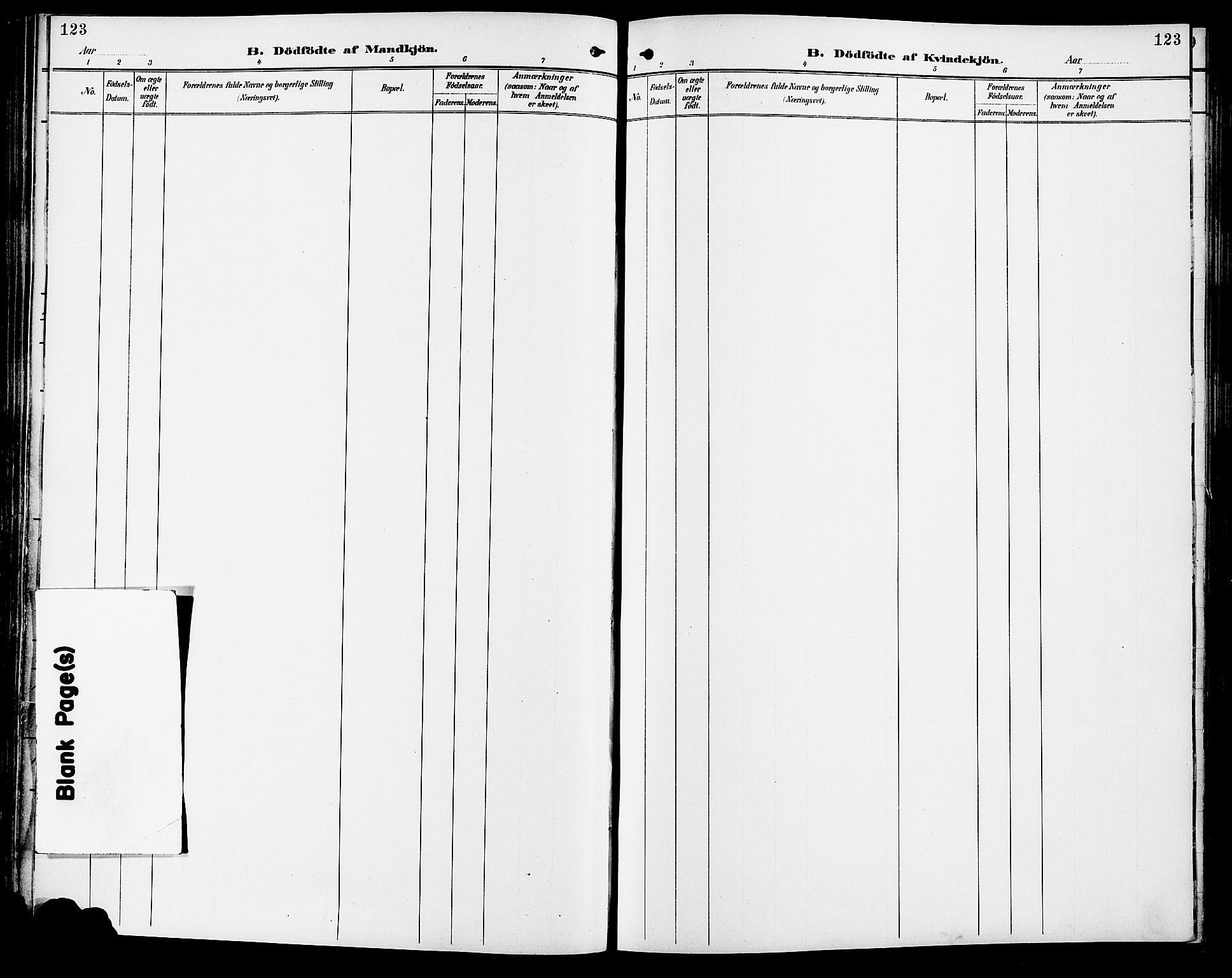 Vang prestekontor, Hedmark, AV/SAH-PREST-008/H/Ha/Haa/L0017: Ministerialbok nr. 17, 1890-1899, s. 123