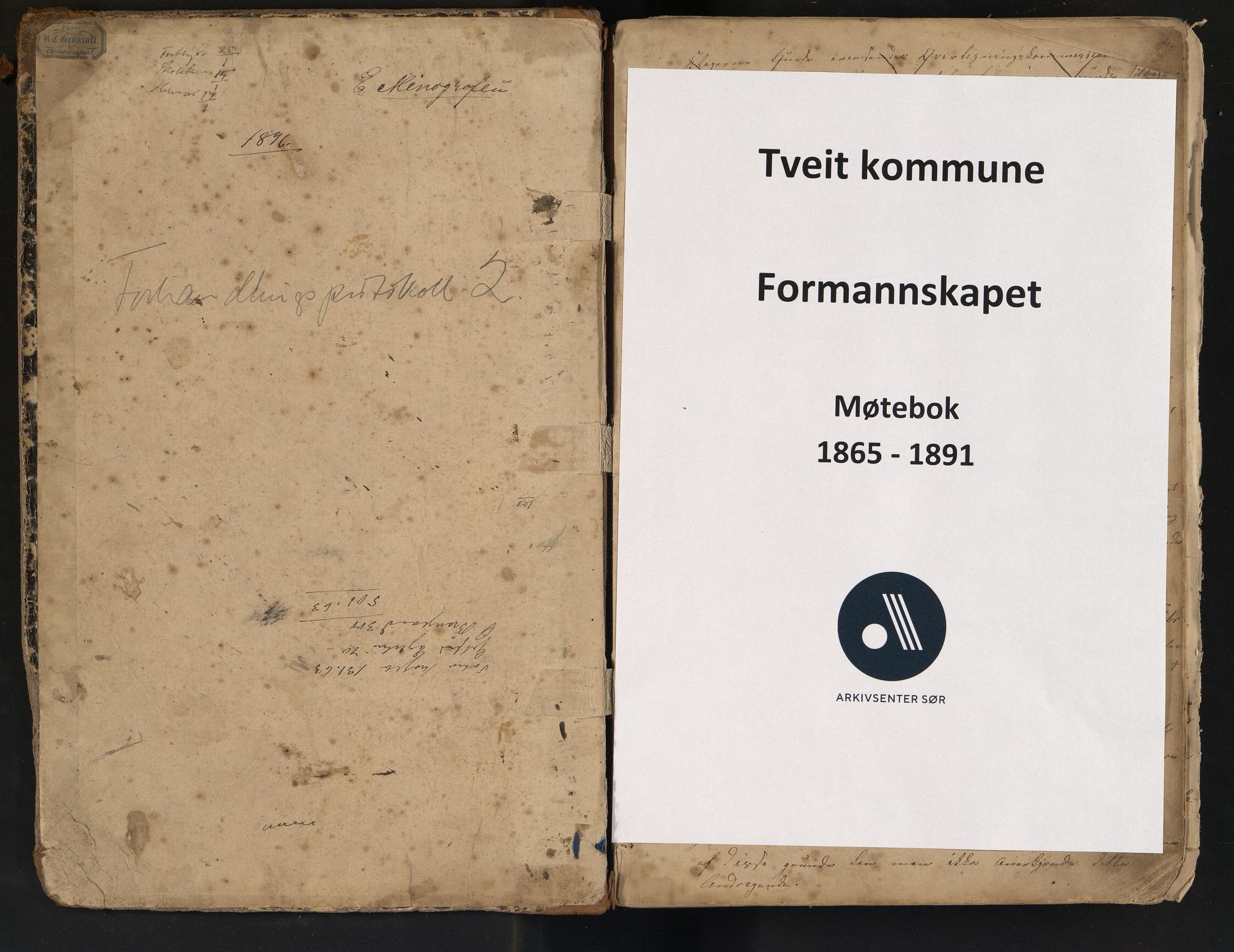 Tveit kommune - Formannskapet/ Kommunestyret, ARKSOR/1001TV120/A/L0002: Møtebok (d), 1865-1891
