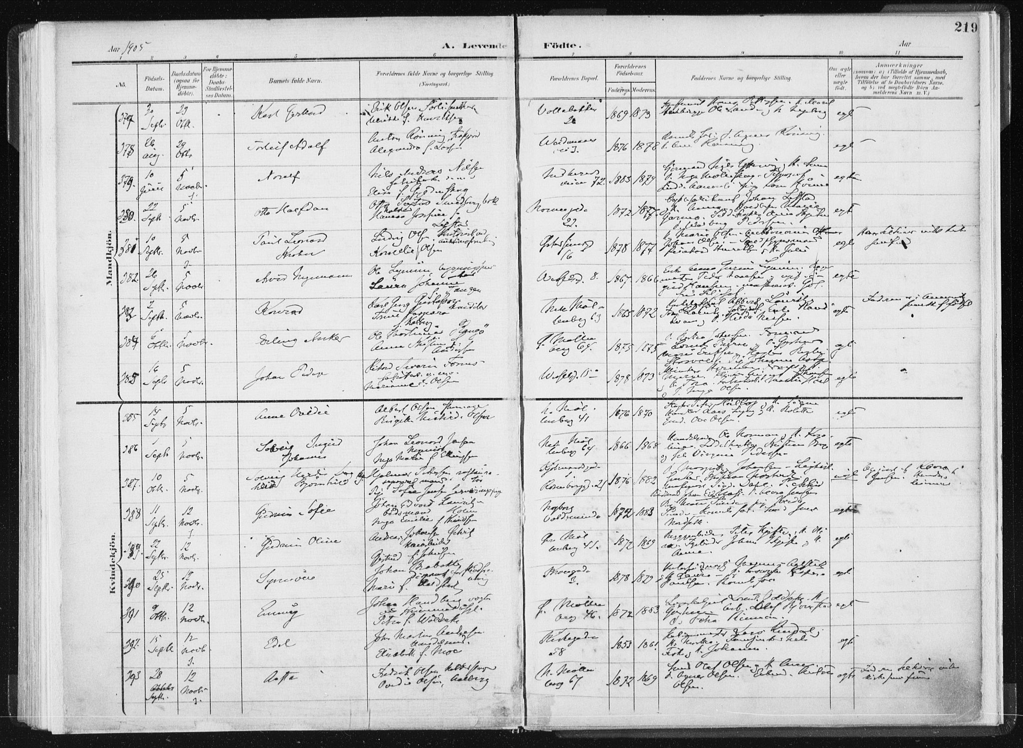 Ministerialprotokoller, klokkerbøker og fødselsregistre - Sør-Trøndelag, AV/SAT-A-1456/604/L0199: Ministerialbok nr. 604A20I, 1901-1906, s. 219