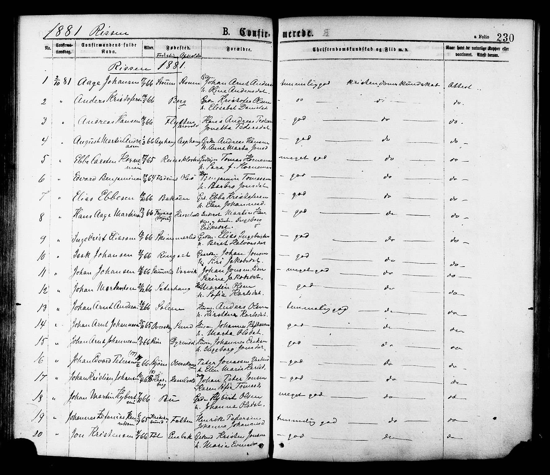 Ministerialprotokoller, klokkerbøker og fødselsregistre - Sør-Trøndelag, AV/SAT-A-1456/646/L0613: Ministerialbok nr. 646A11, 1870-1884, s. 230