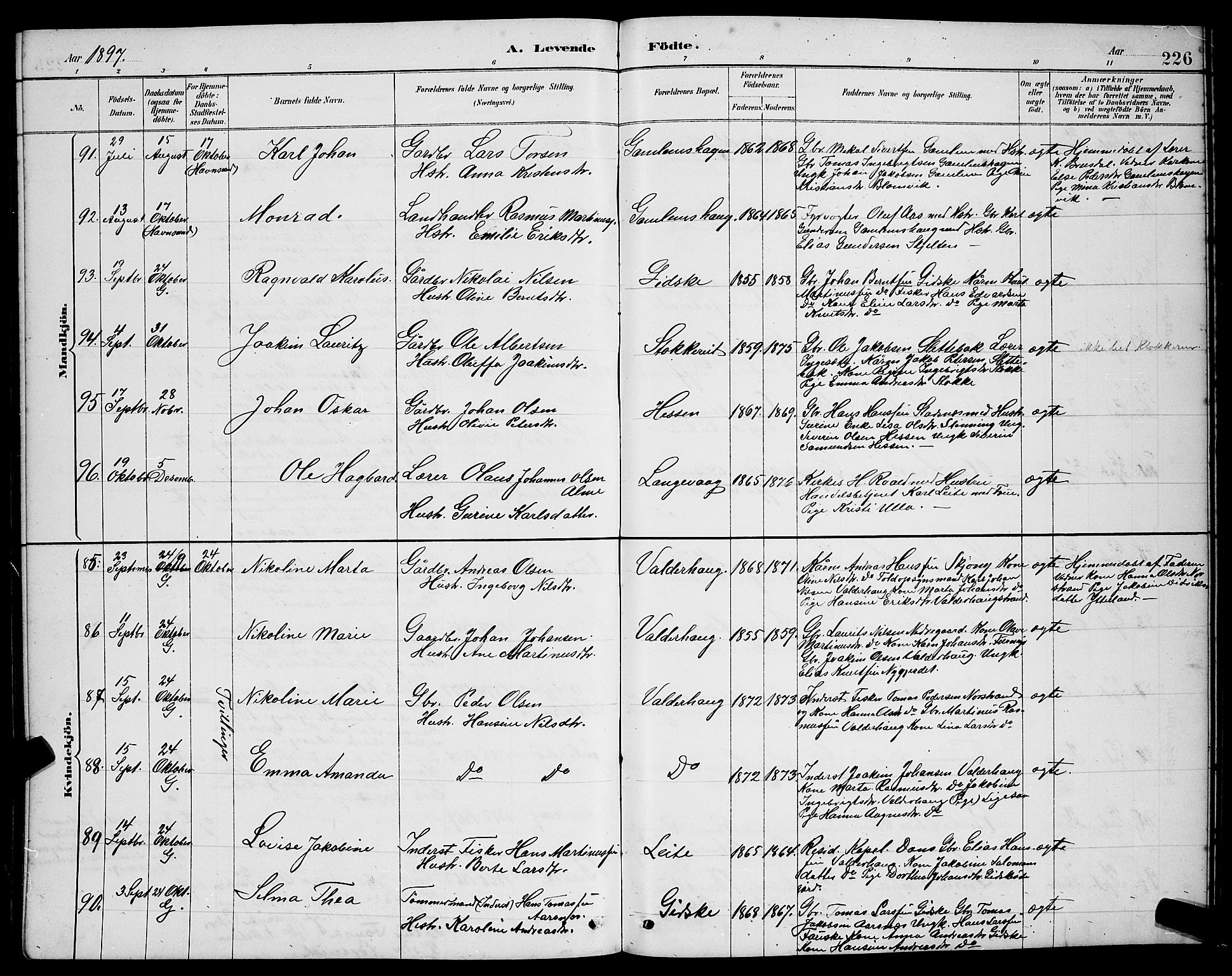 Ministerialprotokoller, klokkerbøker og fødselsregistre - Møre og Romsdal, AV/SAT-A-1454/528/L0431: Klokkerbok nr. 528C12, 1885-1898, s. 226