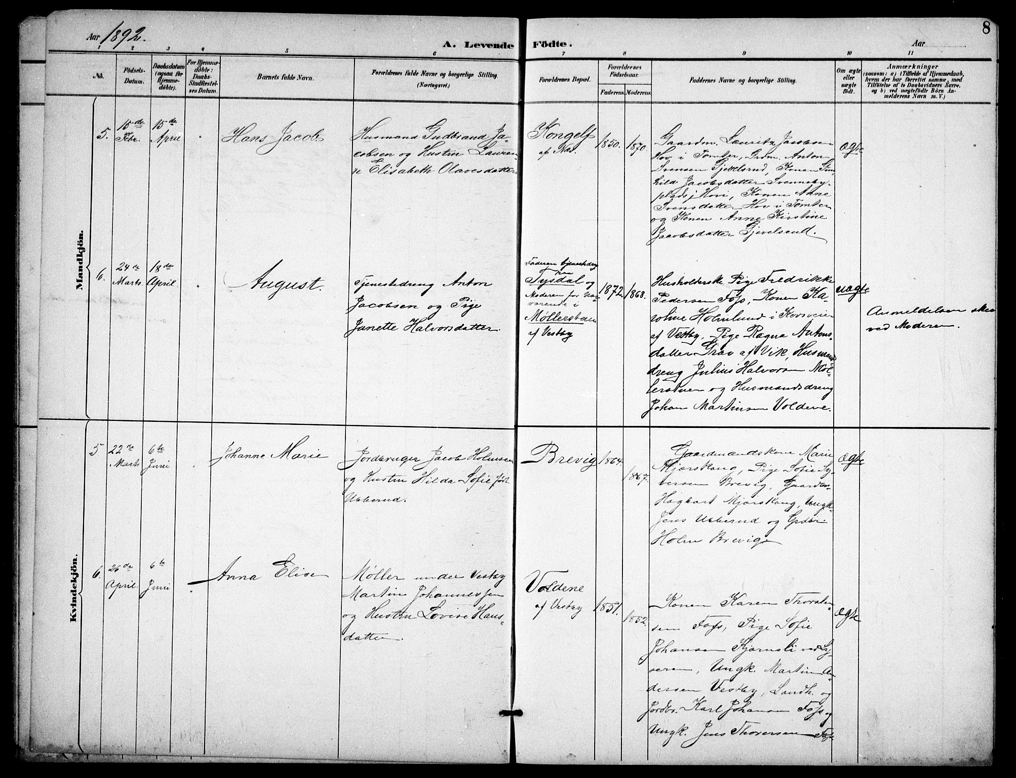 Enebakk prestekontor Kirkebøker, AV/SAO-A-10171c/G/Gb/L0002: Klokkerbok nr. II 2, 1891-1903, s. 8