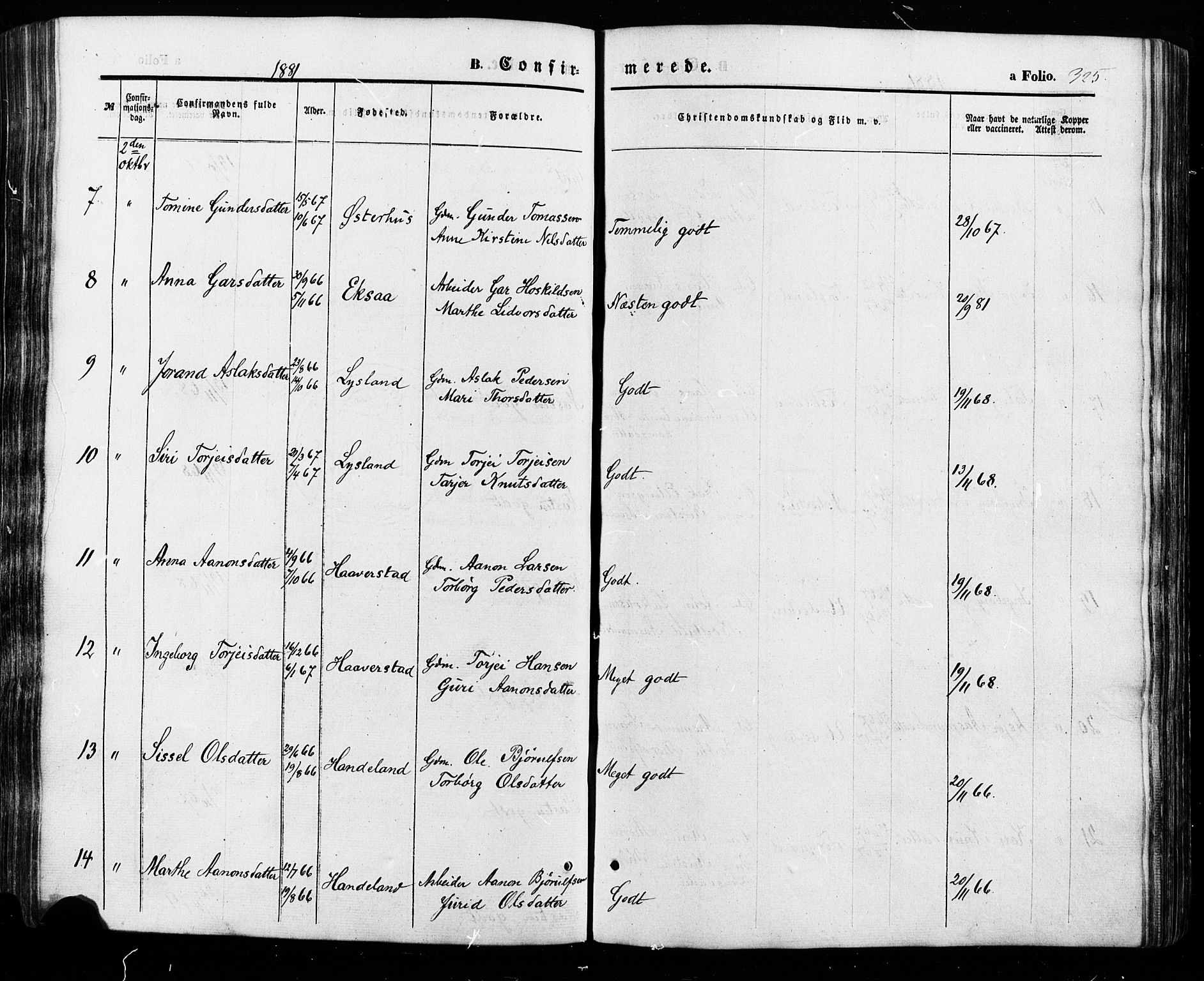 Åseral sokneprestkontor, AV/SAK-1111-0051/F/Fa/L0002: Ministerialbok nr. A 2, 1854-1884, s. 325
