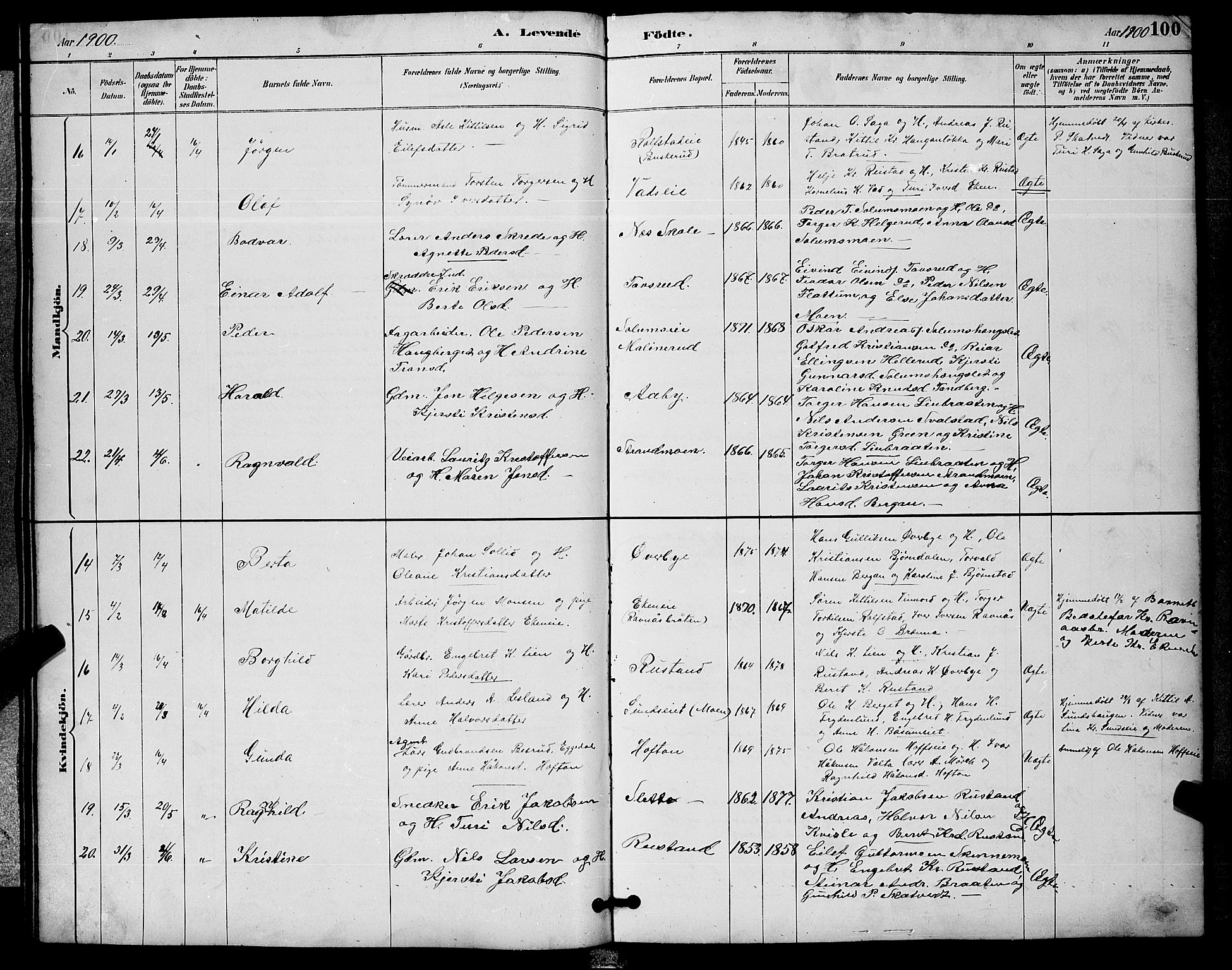 Sigdal kirkebøker, AV/SAKO-A-245/G/Ga/L0005: Klokkerbok nr. I 5, 1886-1900, s. 100