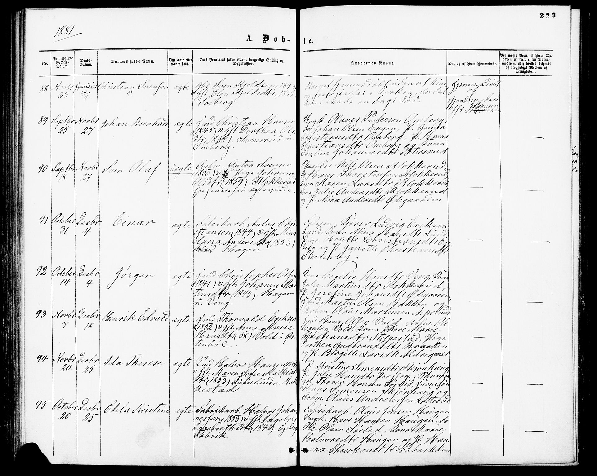 Enebakk prestekontor Kirkebøker, AV/SAO-A-10171c/F/Fa/L0011: Ministerialbok nr. I 11, 1862-1882, s. 223