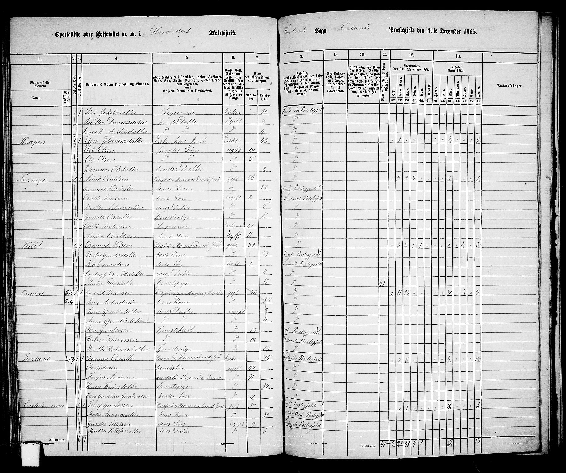 RA, Folketelling 1865 for 0919P Froland prestegjeld, 1865, s. 74