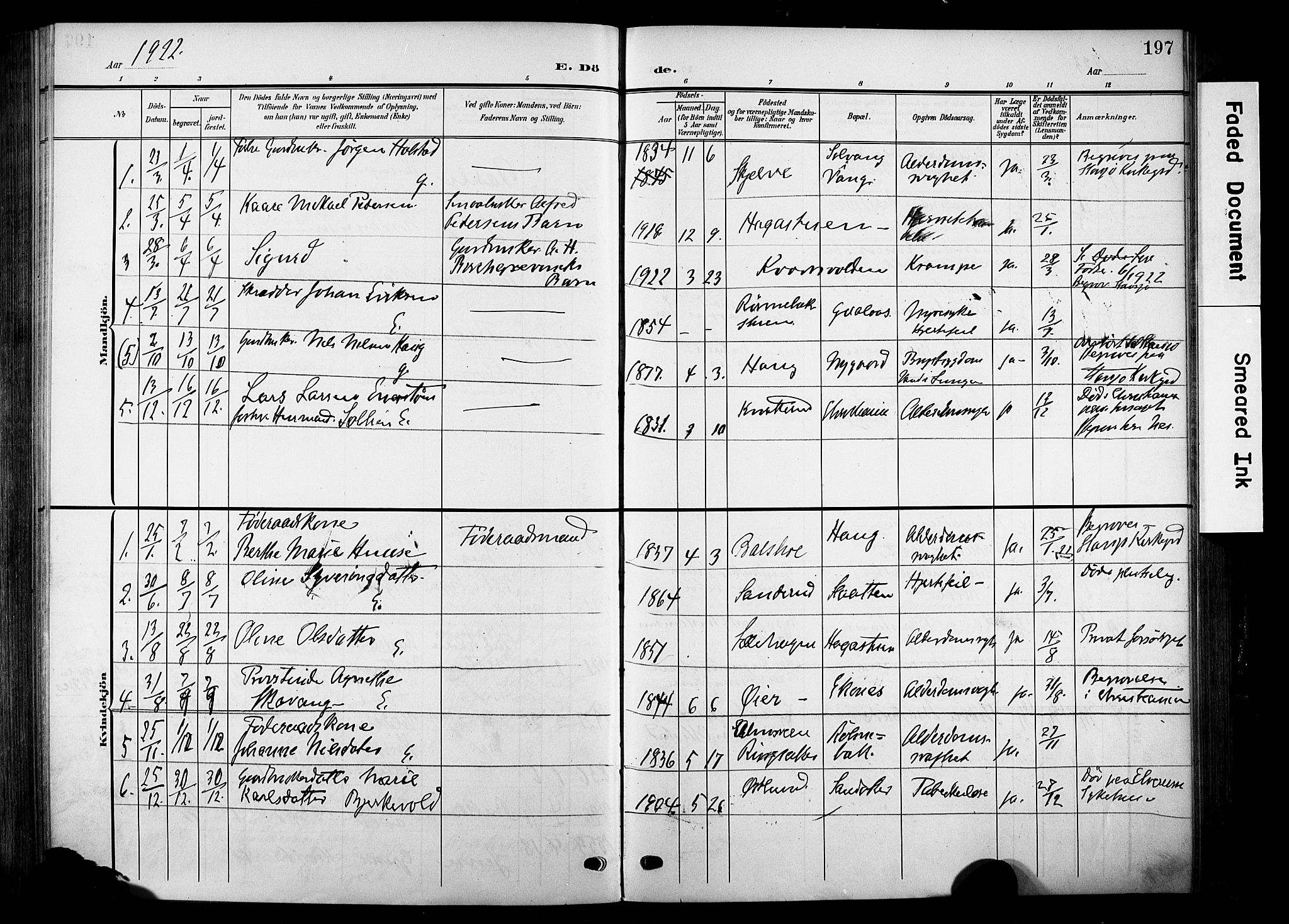 Nes prestekontor, Hedmark, AV/SAH-PREST-020/K/Ka/L0014: Ministerialbok nr. 14, 1906-1929, s. 197
