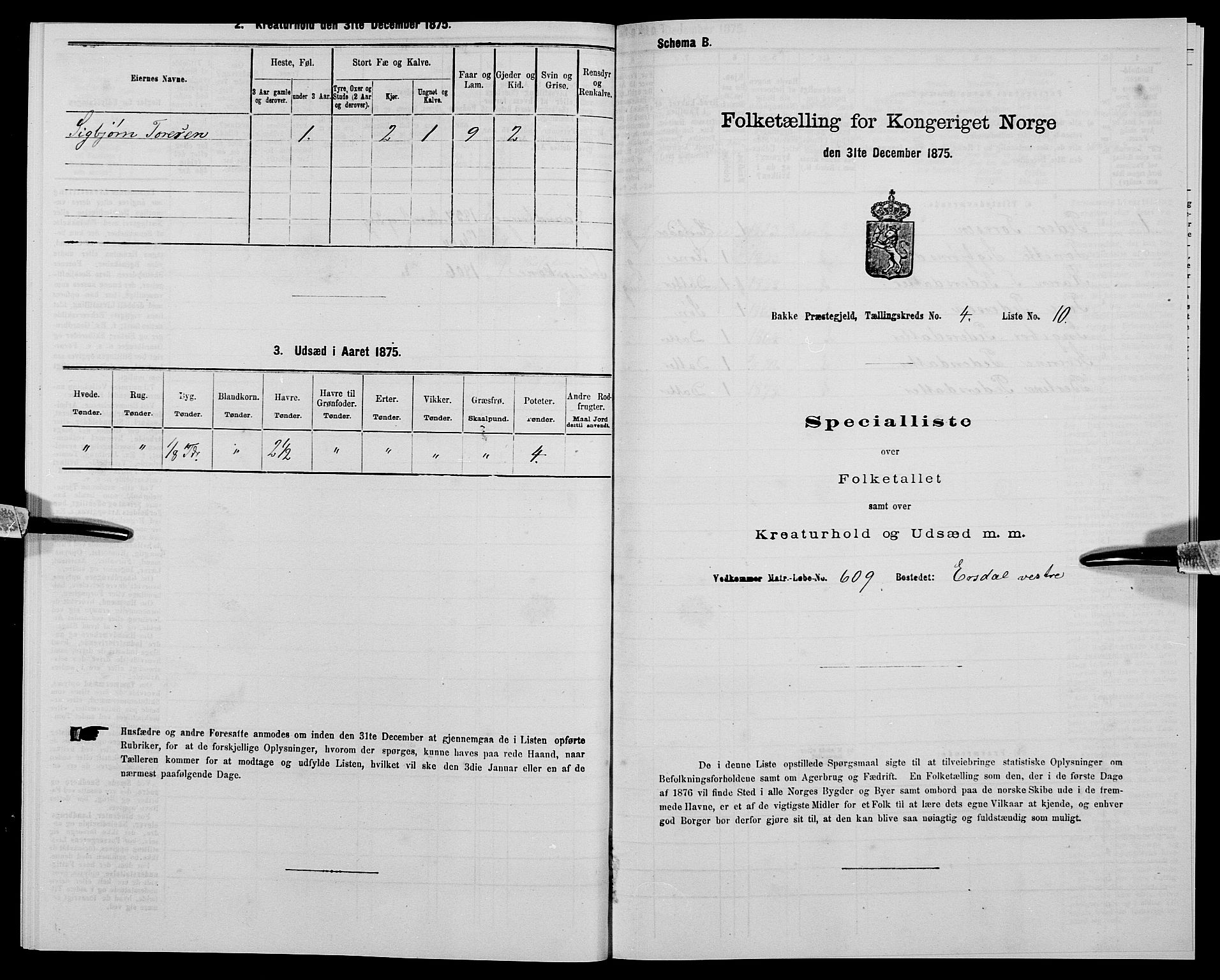 SAK, Folketelling 1875 for 1045P Bakke prestegjeld, 1875, s. 402