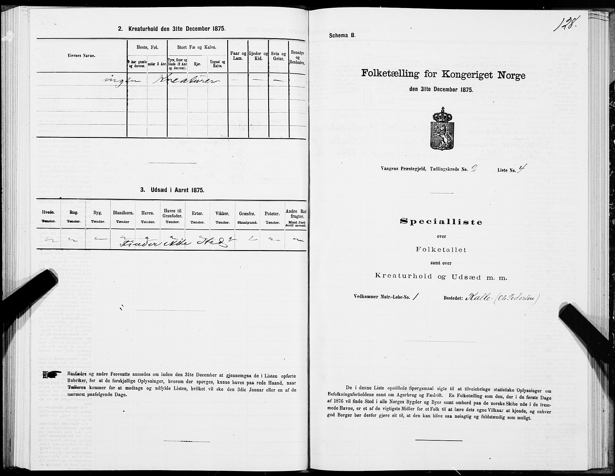 SAT, Folketelling 1875 for 1865P Vågan prestegjeld, 1875, s. 1128