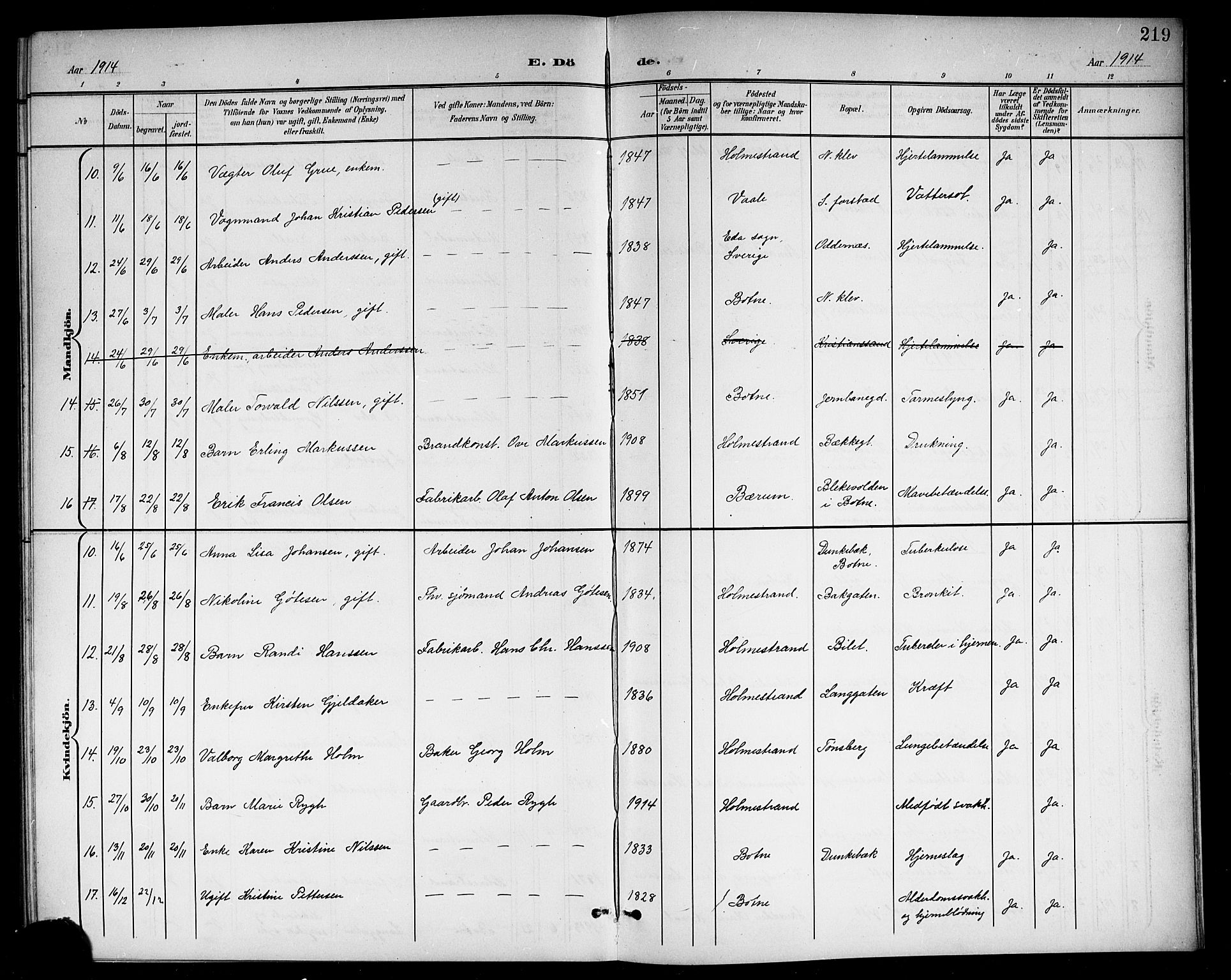 Holmestrand kirkebøker, AV/SAKO-A-346/G/Ga/L0006: Klokkerbok nr. 6, 1901-1923, s. 219