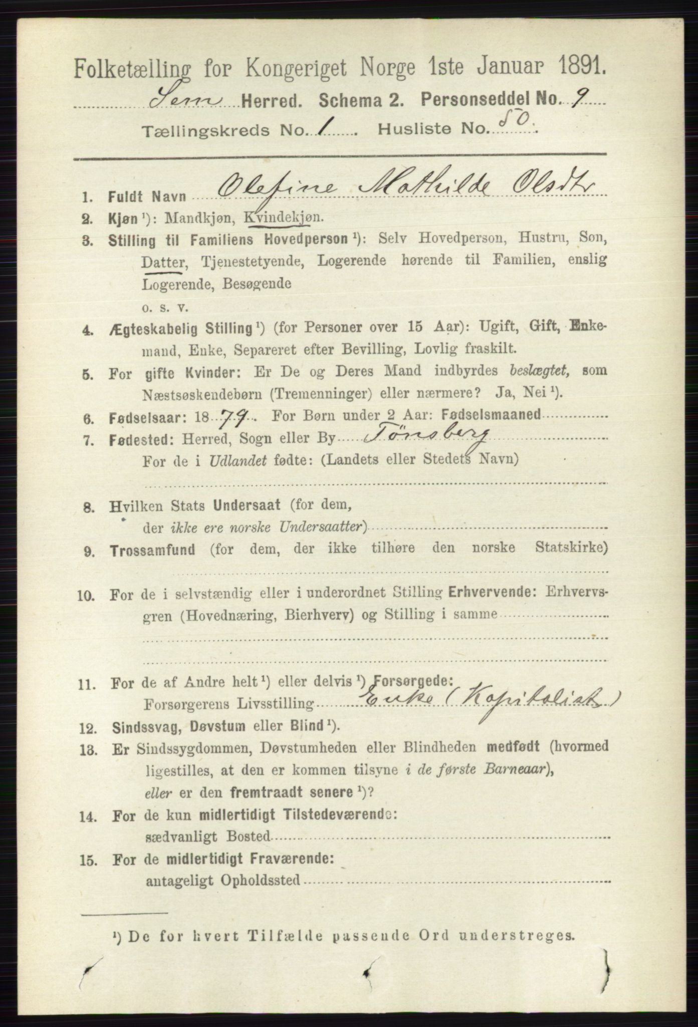 RA, Folketelling 1891 for 0721 Sem herred, 1891, s. 399