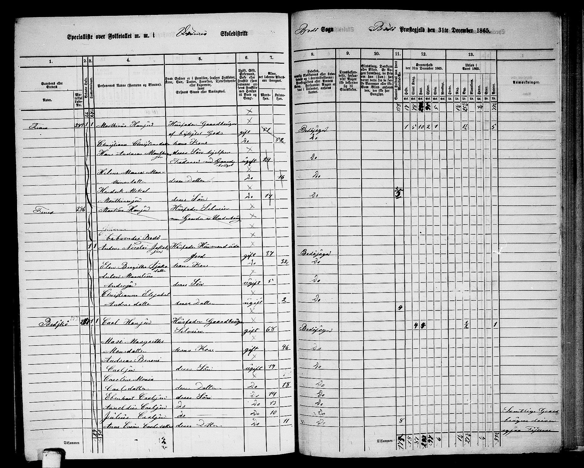 RA, Folketelling 1865 for 1843L Bodø prestegjeld, Bodø landsokn, 1865, s. 145