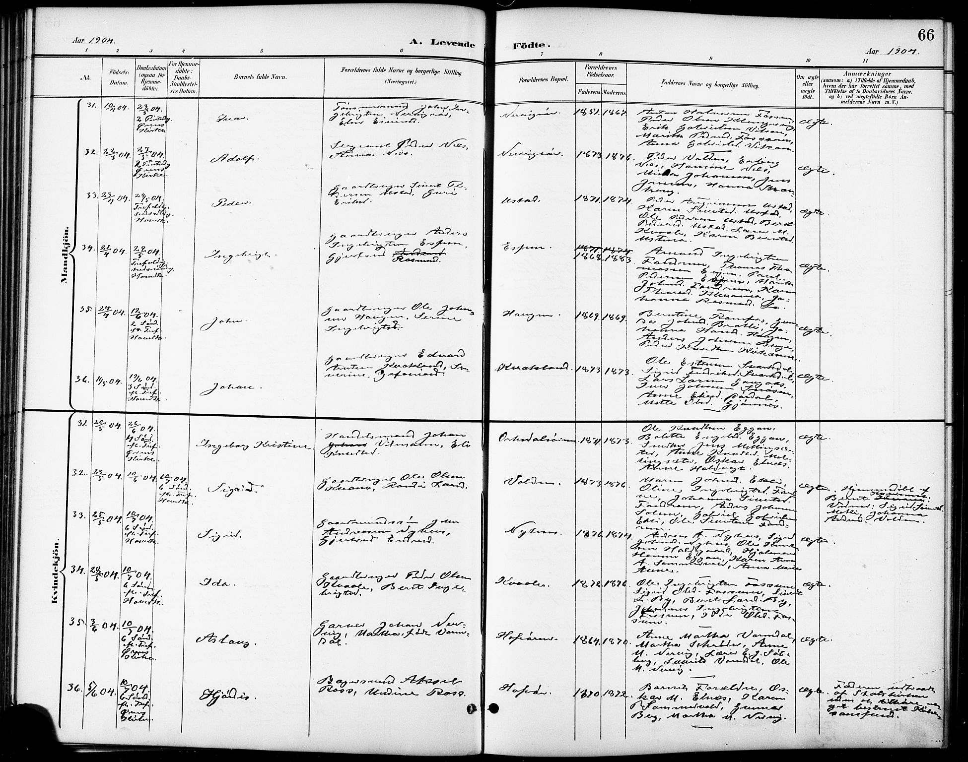 Ministerialprotokoller, klokkerbøker og fødselsregistre - Sør-Trøndelag, AV/SAT-A-1456/668/L0819: Klokkerbok nr. 668C08, 1899-1912, s. 66