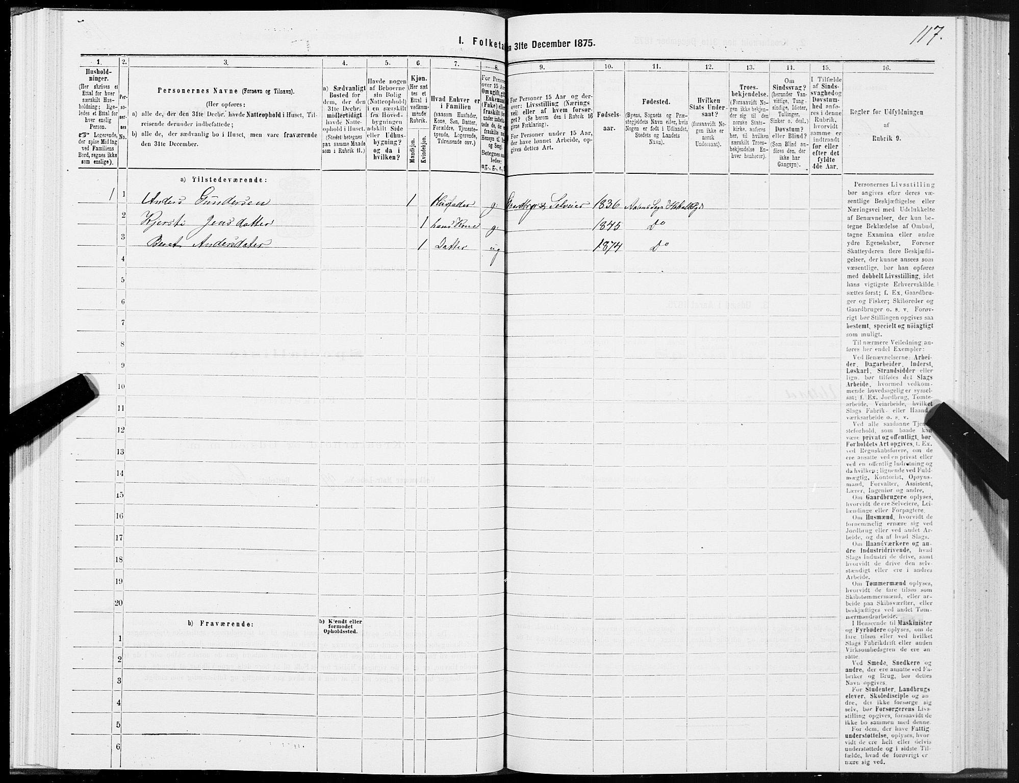 SAT, Folketelling 1875 for 1645P Haltdalen prestegjeld, 1875, s. 5117