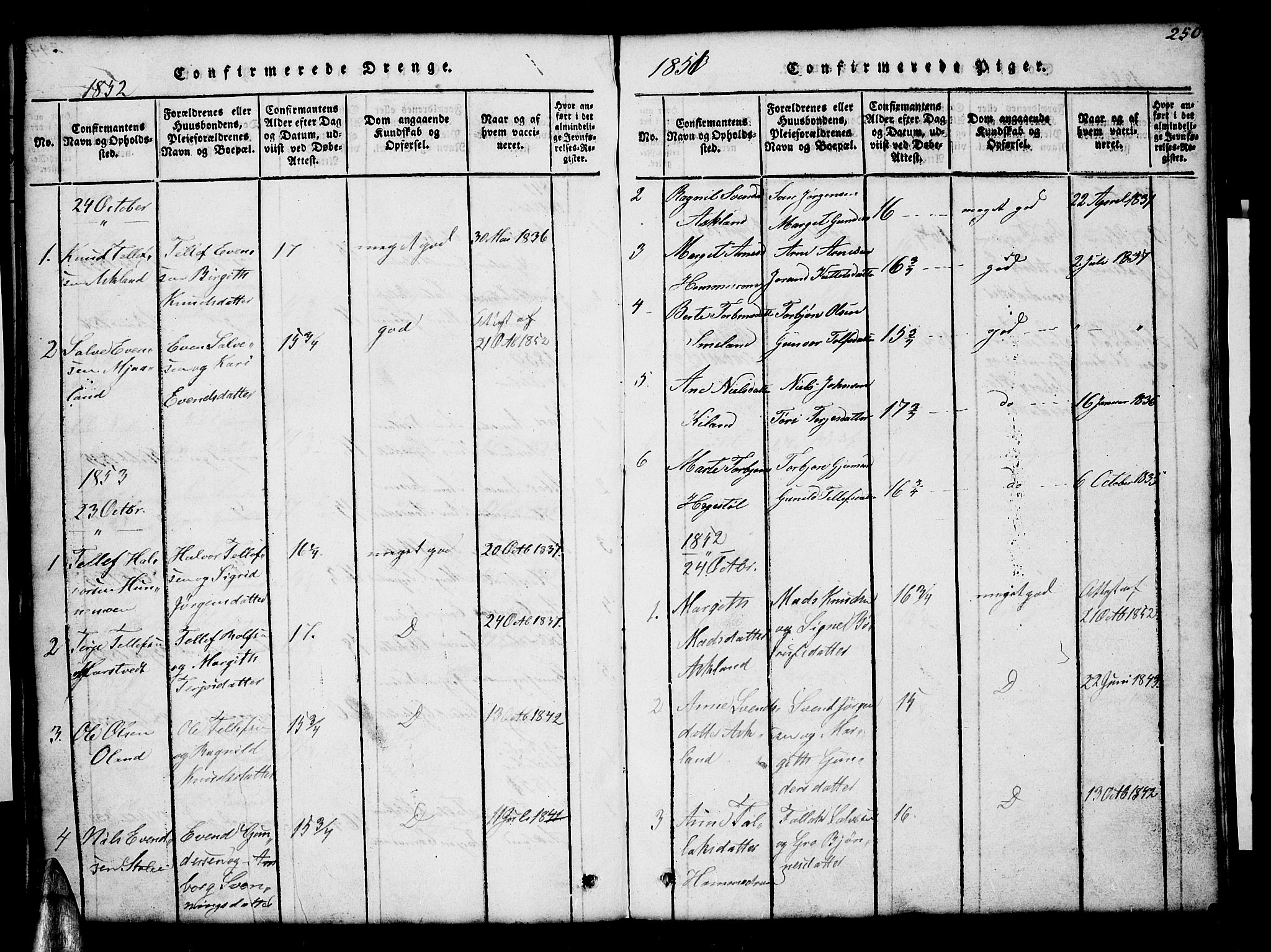 Åmli sokneprestkontor, AV/SAK-1111-0050/F/Fb/Fba/L0001: Klokkerbok nr. B 1, 1816-1890, s. 250