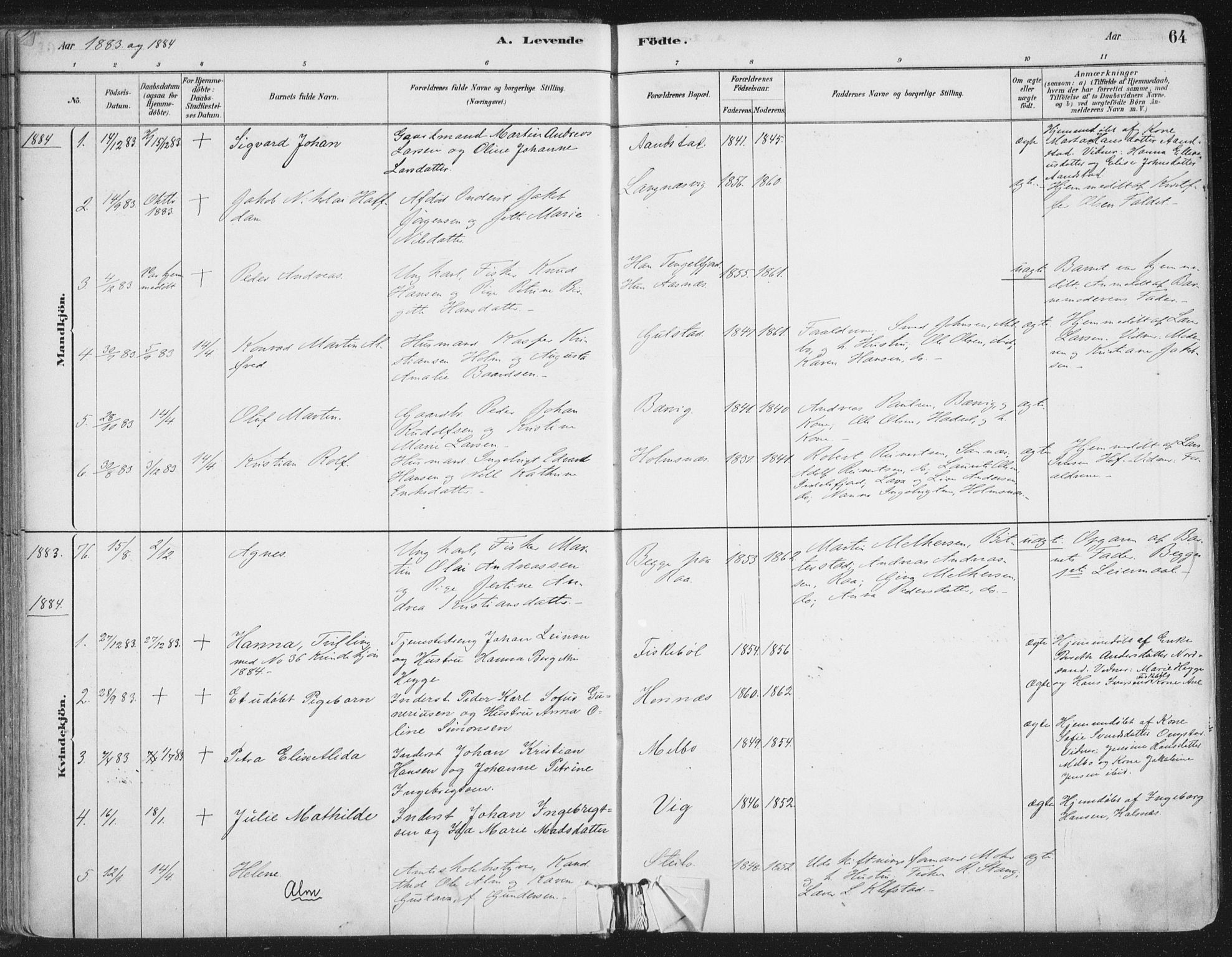 Ministerialprotokoller, klokkerbøker og fødselsregistre - Nordland, AV/SAT-A-1459/888/L1244: Ministerialbok nr. 888A10, 1880-1890, s. 64