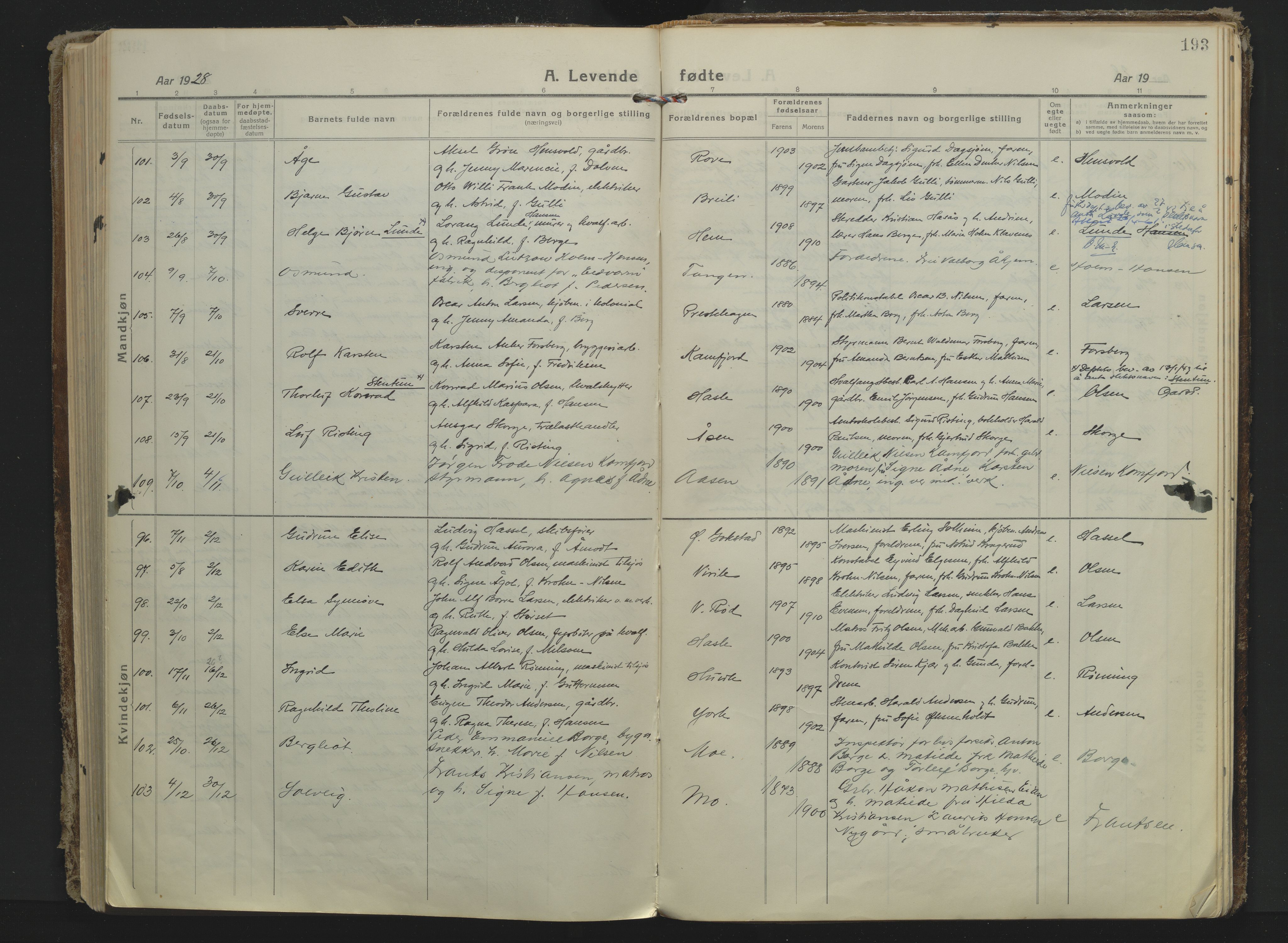 Sandar kirkebøker, AV/SAKO-A-243/F/Fa/L0022: Ministerialbok nr. 22, 1919-1931, s. 193