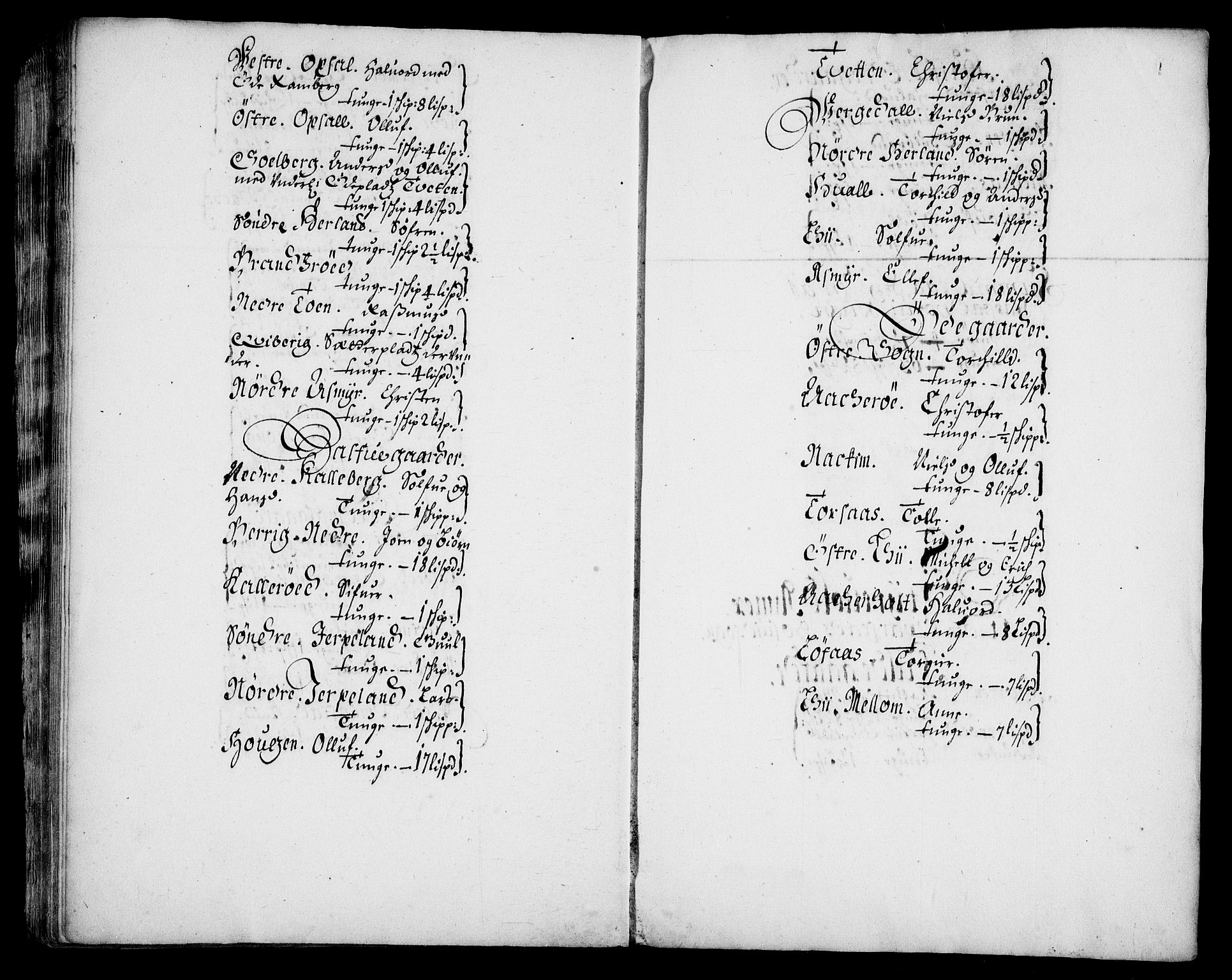 Rentekammeret inntil 1814, Realistisk ordnet avdeling, AV/RA-EA-4070/N/Na/L0003/0003: [XI h]: Tønsbergs amt og Larvik grevskaps jordebøker: / (C) Smør- og kjøttskatt, inkludert Griffenfelds gods i Larvik grevskap, 1674