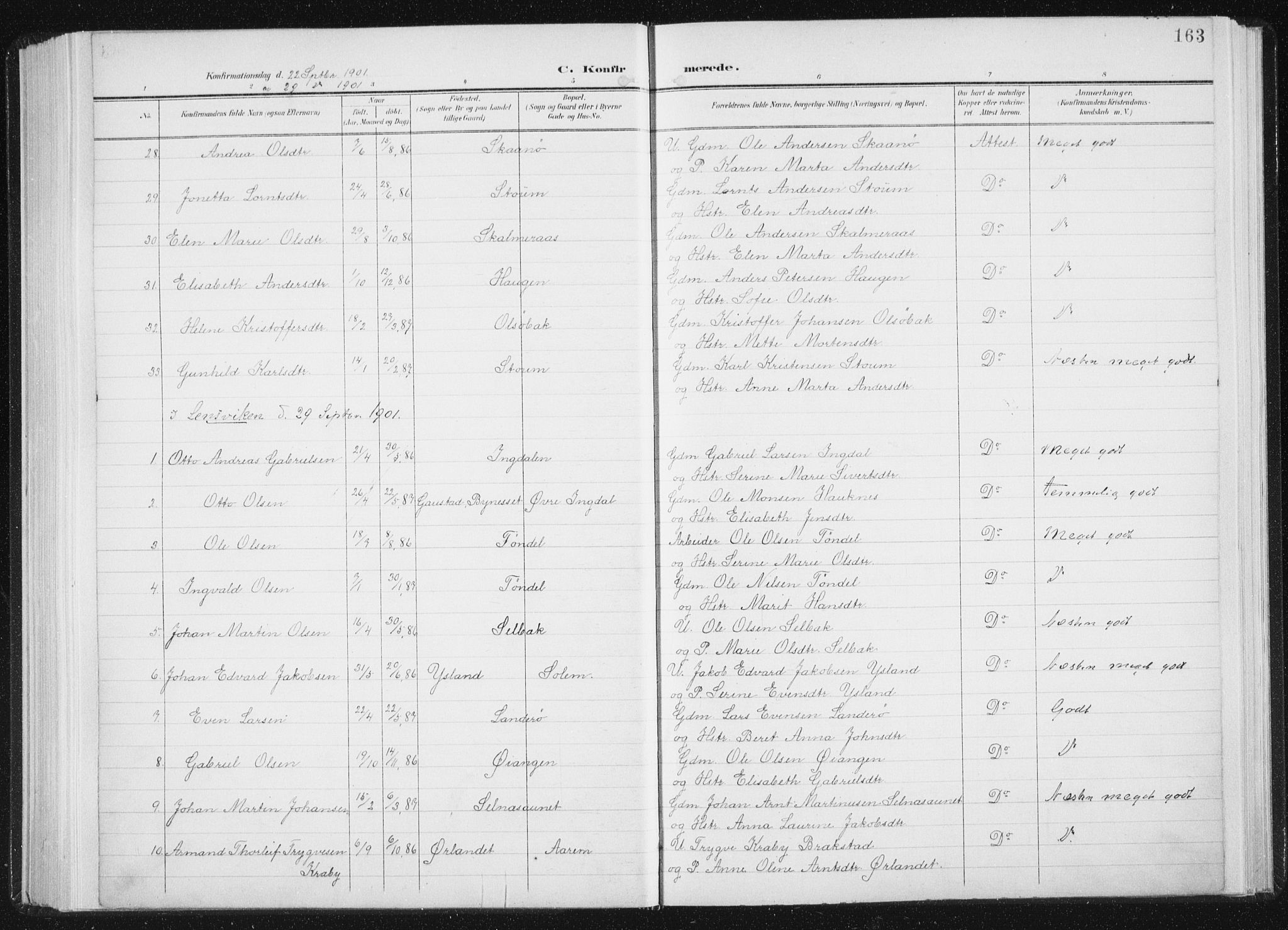 Ministerialprotokoller, klokkerbøker og fødselsregistre - Sør-Trøndelag, AV/SAT-A-1456/647/L0635: Ministerialbok nr. 647A02, 1896-1911, s. 163