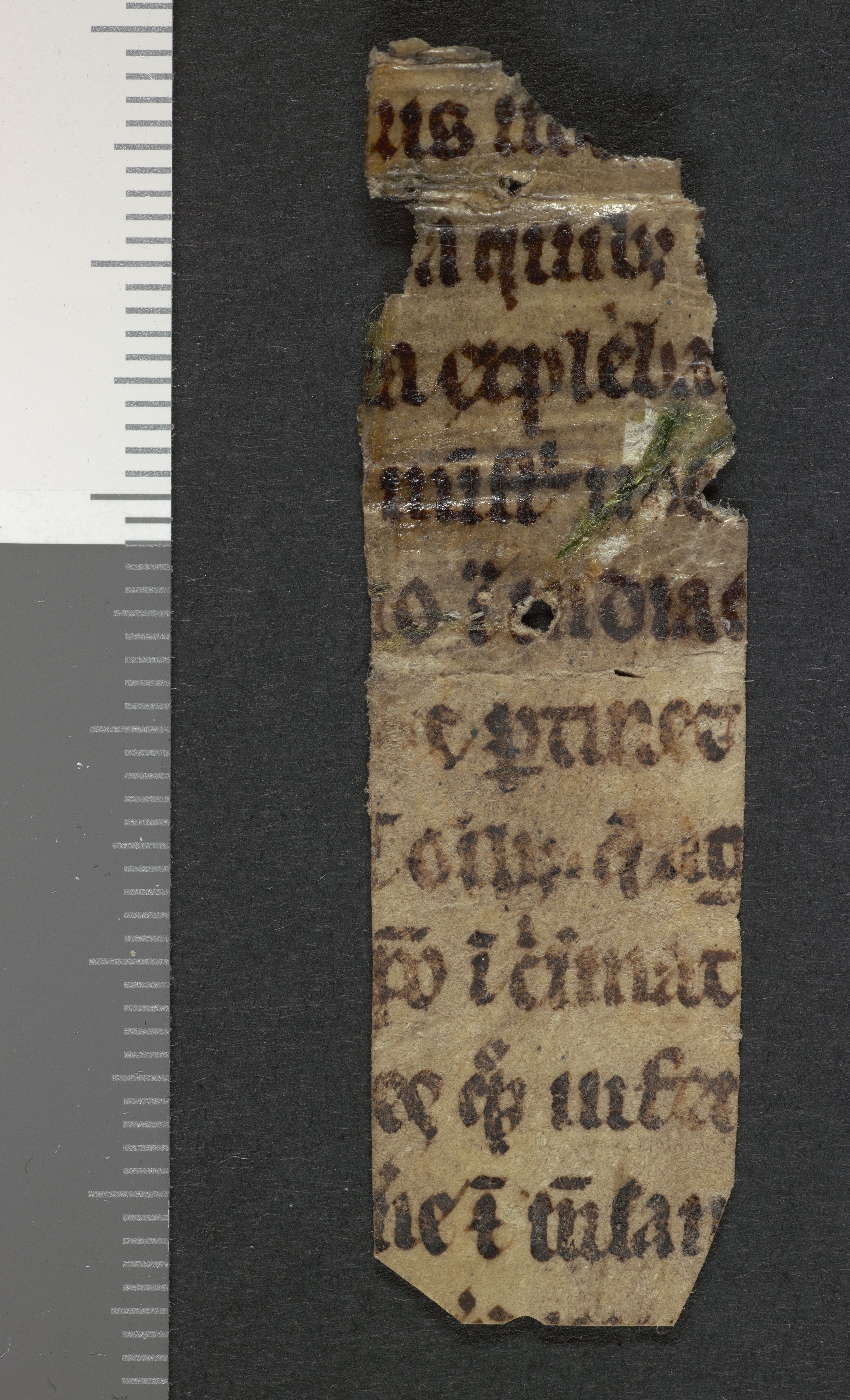 Tellefsen, Johan Christian, AV/RA-PA-0792/Fc/L0003: Membranfragmenter, 1100-1536, s. 241