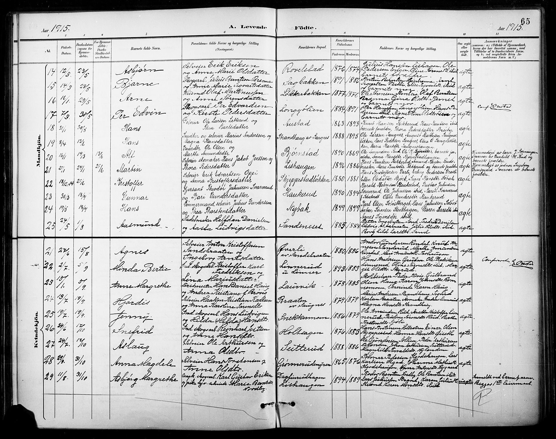 Nord-Odal prestekontor, AV/SAH-PREST-032/H/Ha/Hab/L0003: Klokkerbok nr. 3, 1895-1923, s. 65