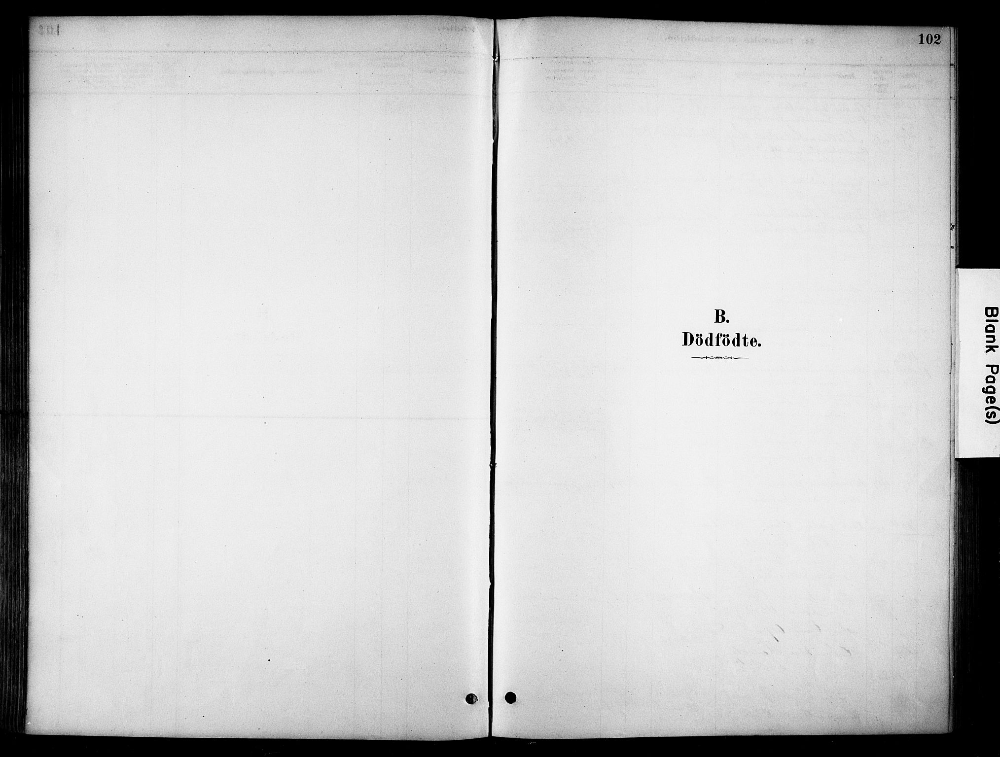 Stange prestekontor, SAH/PREST-002/K/L0018: Ministerialbok nr. 18, 1880-1896, s. 102