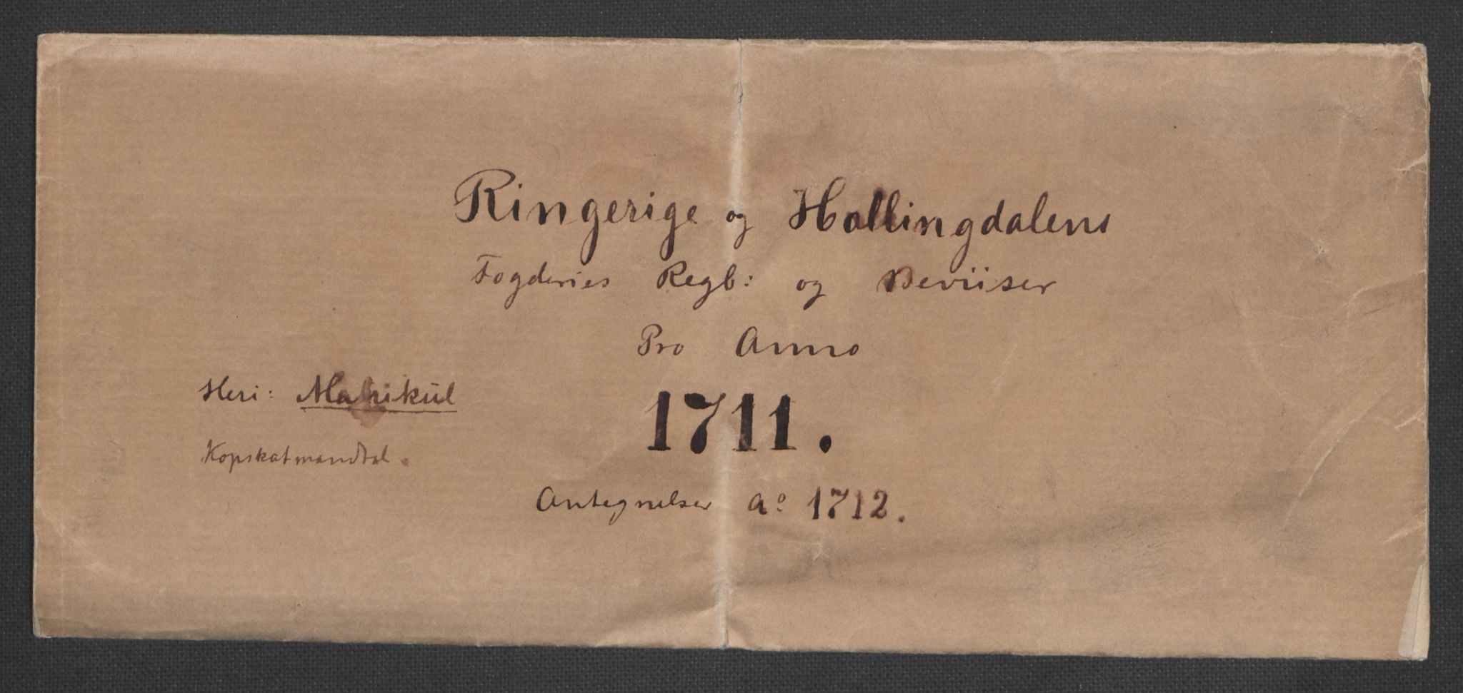 Rentekammeret inntil 1814, Reviderte regnskaper, Fogderegnskap, AV/RA-EA-4092/R23/L1469: Fogderegnskap Ringerike og Hallingdal, 1711, s. 3