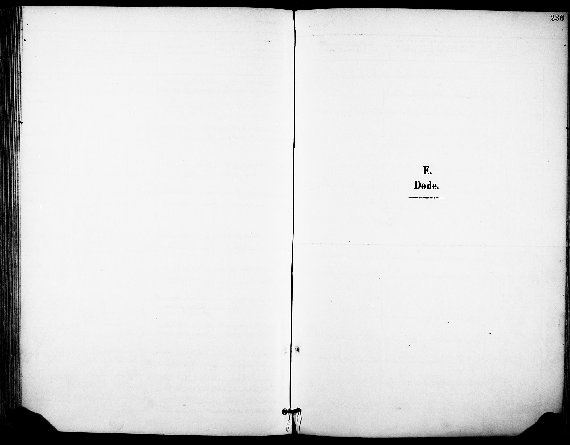 Sandefjord kirkebøker, SAKO/A-315/F/Fa/L0004: Ministerialbok nr. 4, 1894-1905, s. 236