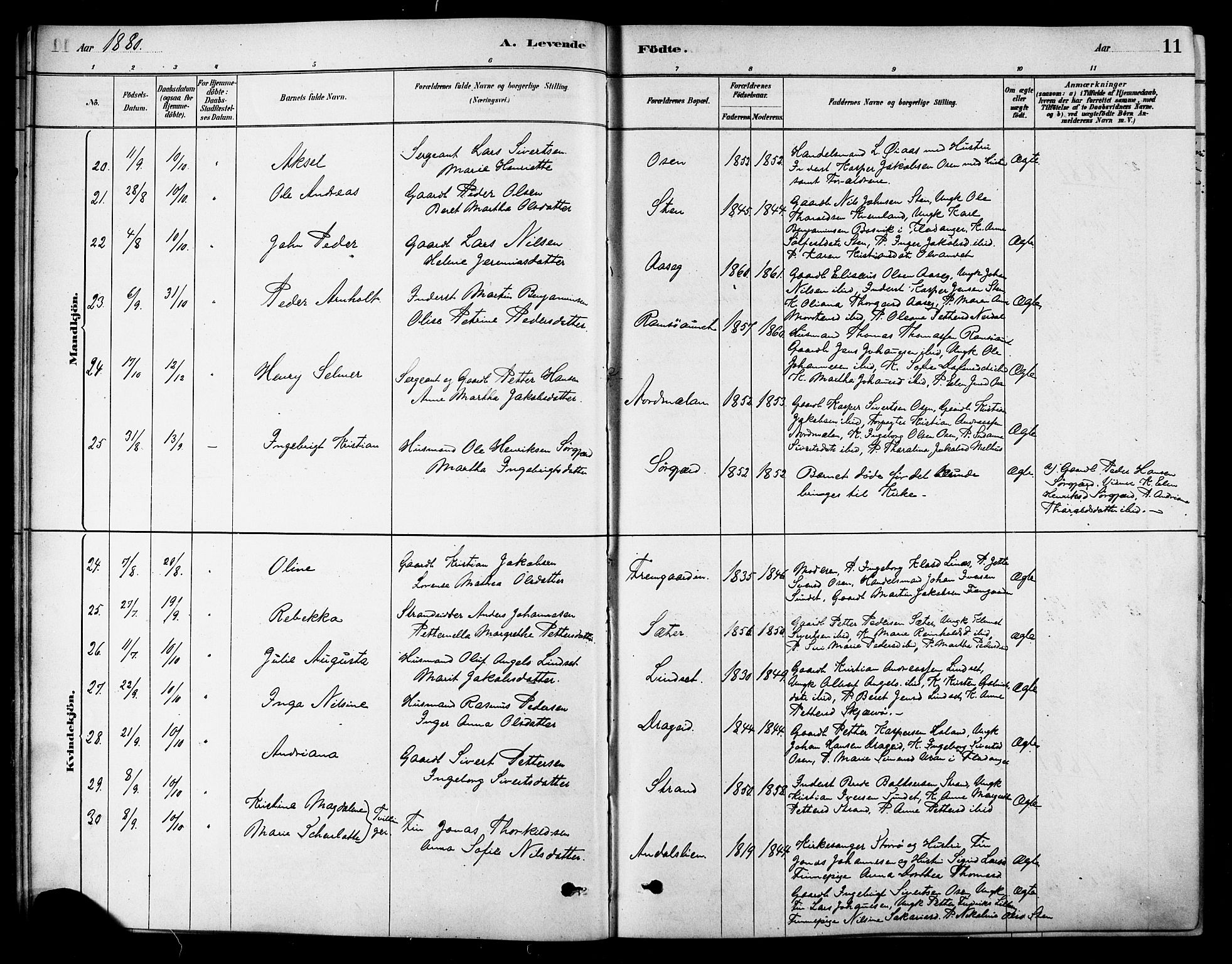 Ministerialprotokoller, klokkerbøker og fødselsregistre - Sør-Trøndelag, SAT/A-1456/658/L0722: Ministerialbok nr. 658A01, 1879-1896, s. 11