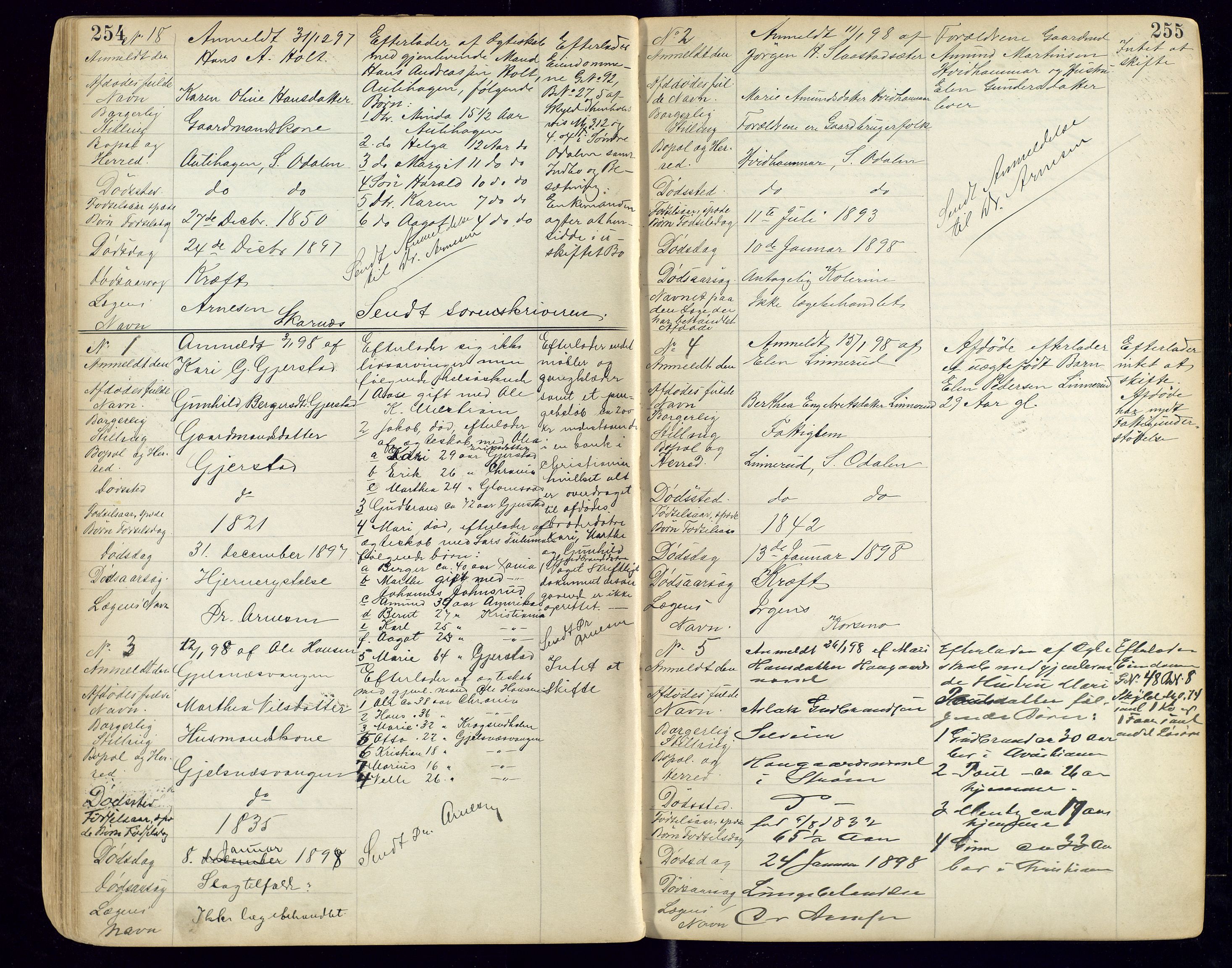 Sør-Odal lensmannskontor, AV/SAH-LHS-022/H/Hb/L0001/0001: Protokoller over anmeldte dødsfall / Protokoll over anmeldte dødsfall, 1888-1901, s. 254-255
