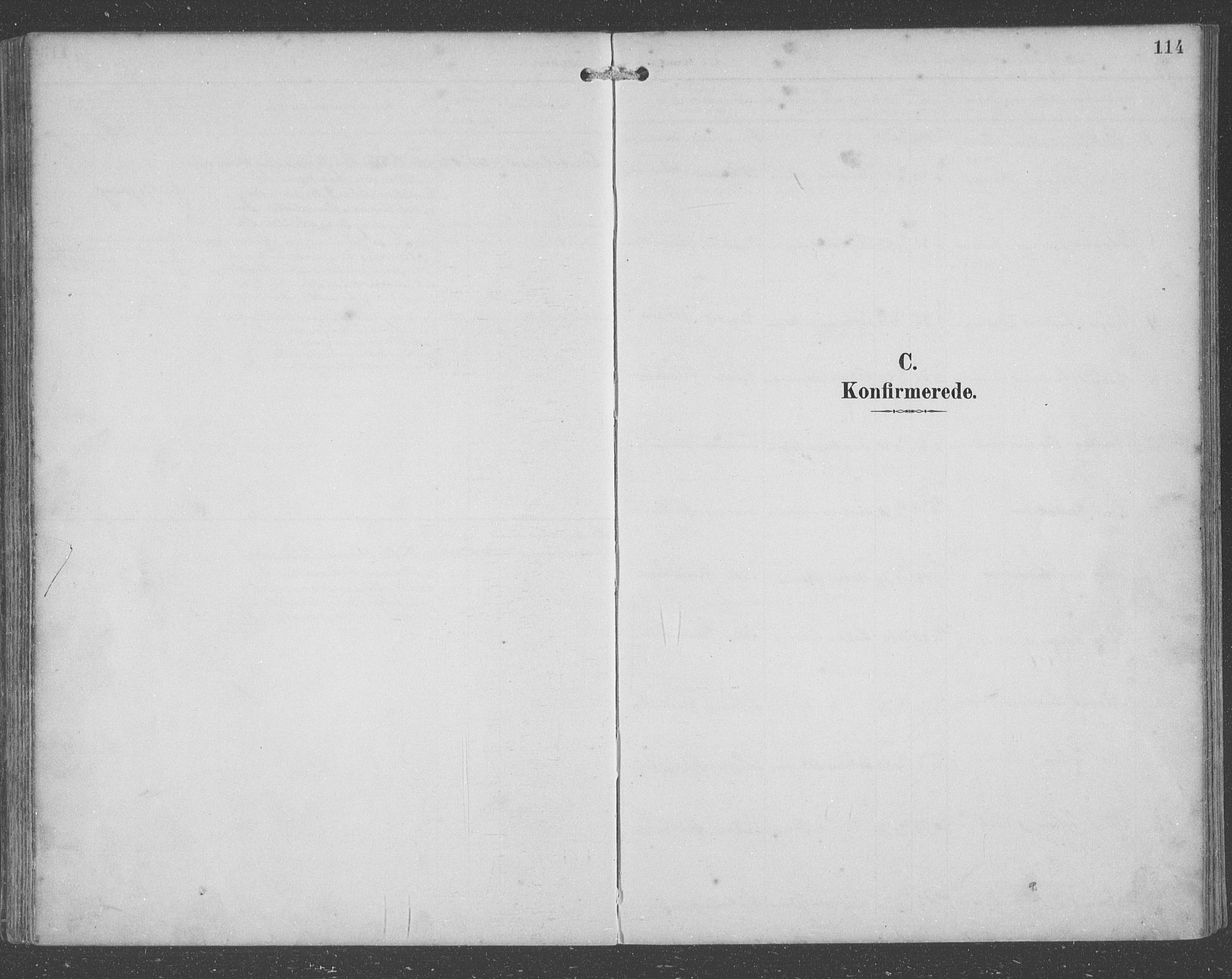 Lindås Sokneprestembete, SAB/A-76701/H/Hab: Klokkerbok nr. C 4, 1894-1910, s. 114