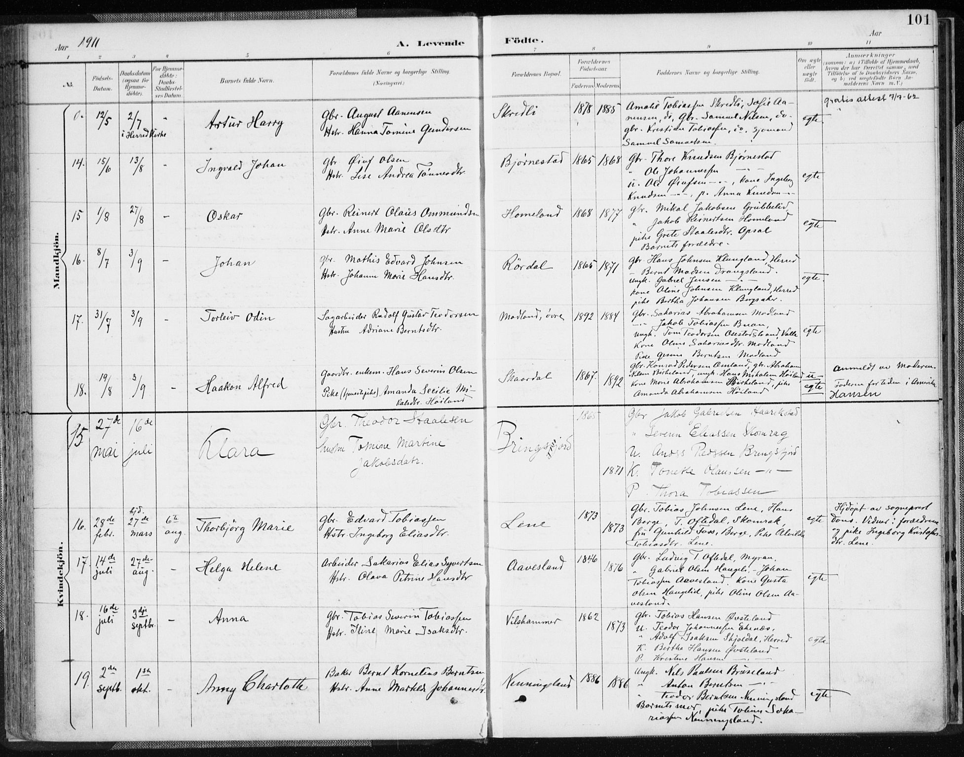 Lyngdal sokneprestkontor, AV/SAK-1111-0029/F/Fa/Fac/L0012: Ministerialbok nr. A 12, 1894-1918, s. 101