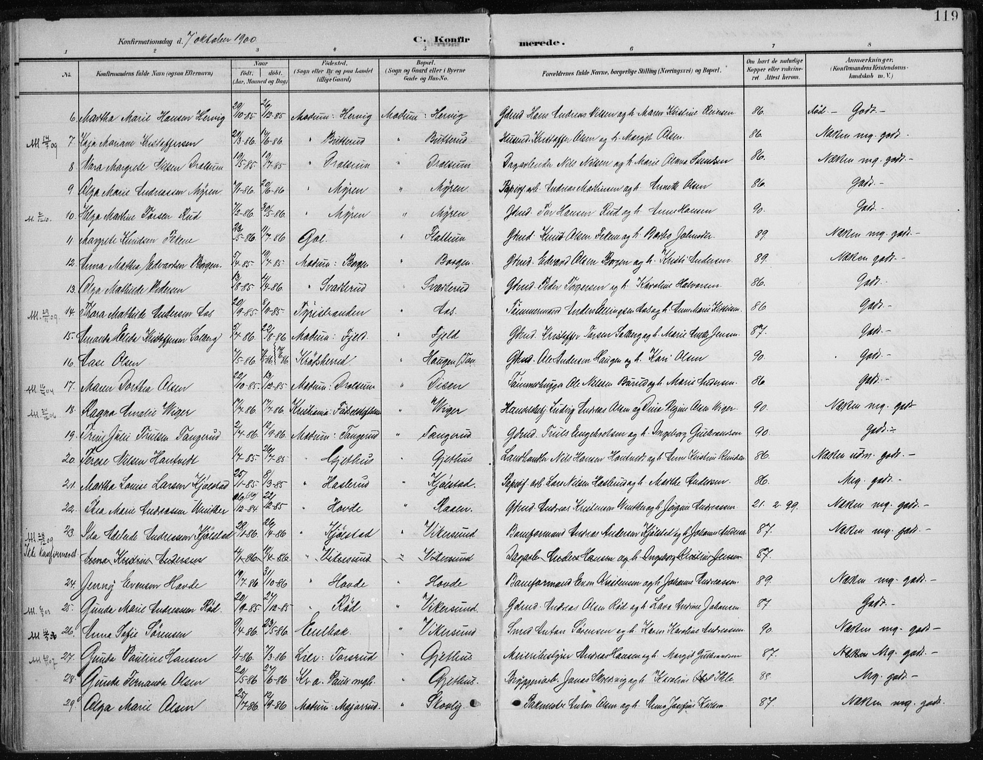 Modum kirkebøker, AV/SAKO-A-234/F/Fa/L0013: Ministerialbok nr. 13, 1899-1907, s. 119
