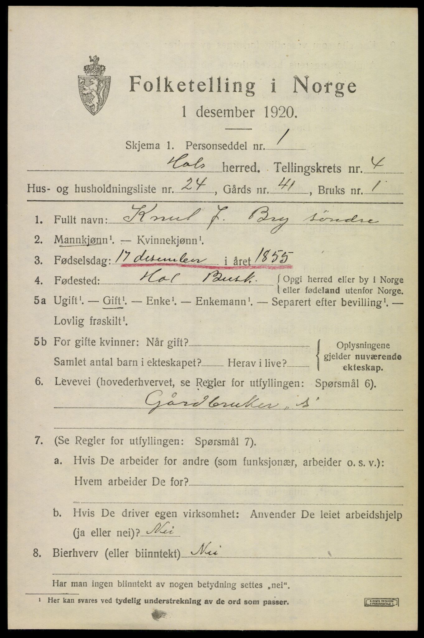 SAKO, Folketelling 1920 for 0620 Hol herred, 1920, s. 2689