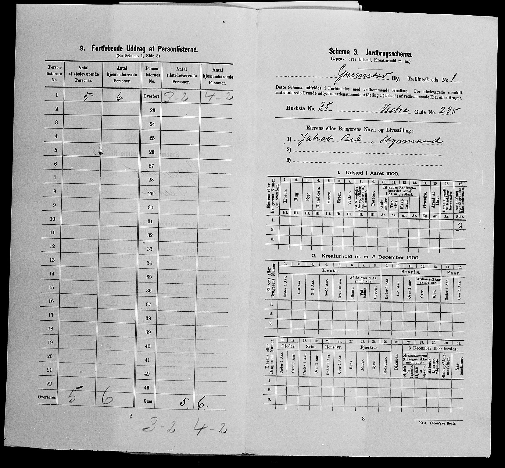 SAK, Folketelling 1900 for 0904 Grimstad kjøpstad, 1900, s. 212