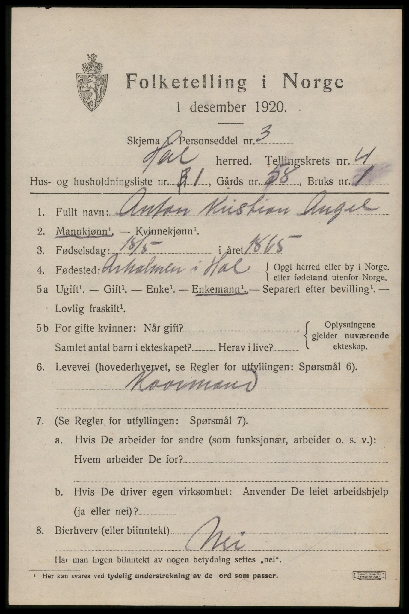 SAT, Folketelling 1920 for 1861 Hol herred, 1920, s. 2969