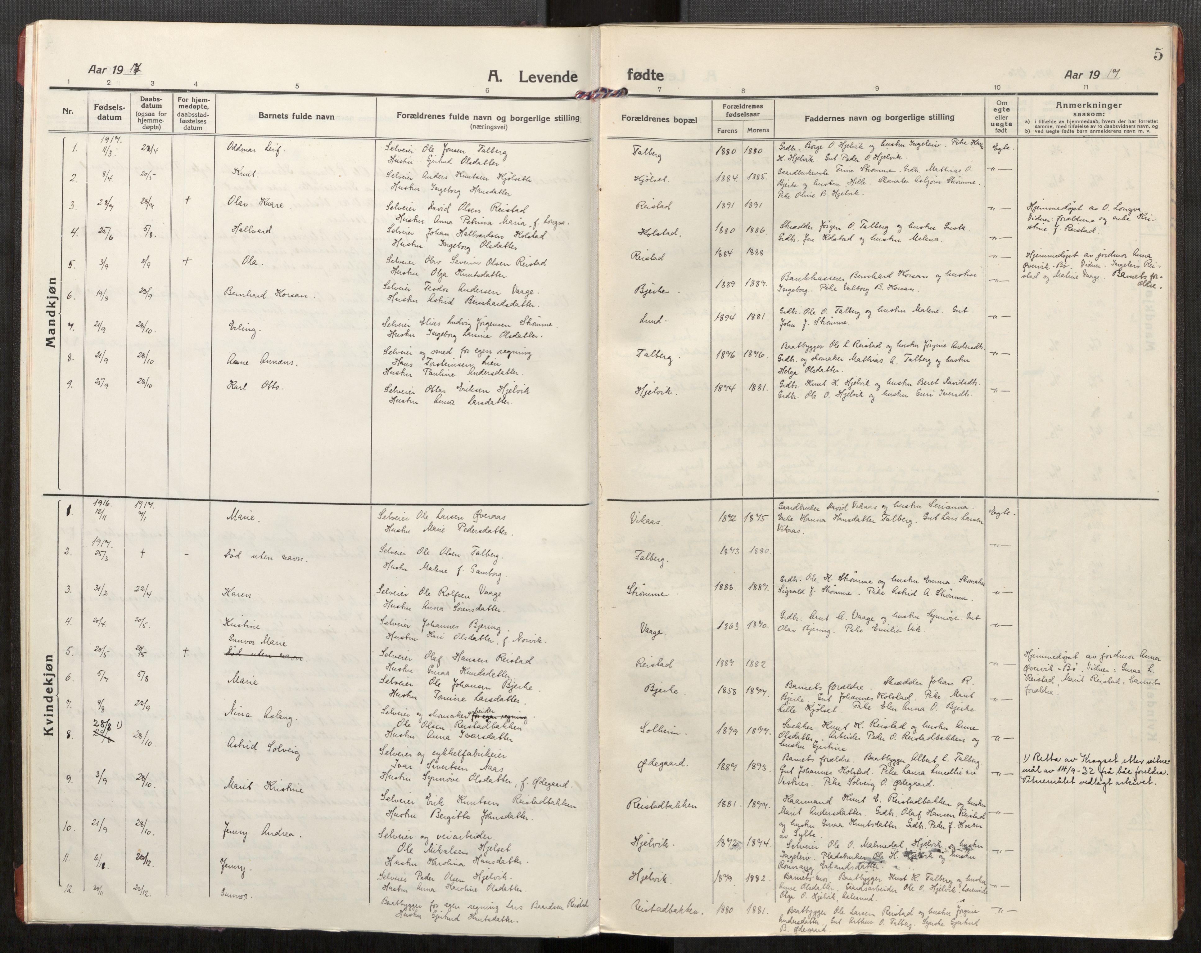 Ministerialprotokoller, klokkerbøker og fødselsregistre - Møre og Romsdal, AV/SAT-A-1454/550/L0622: Ministerialbok nr. 550A02, 1916-1931, s. 5