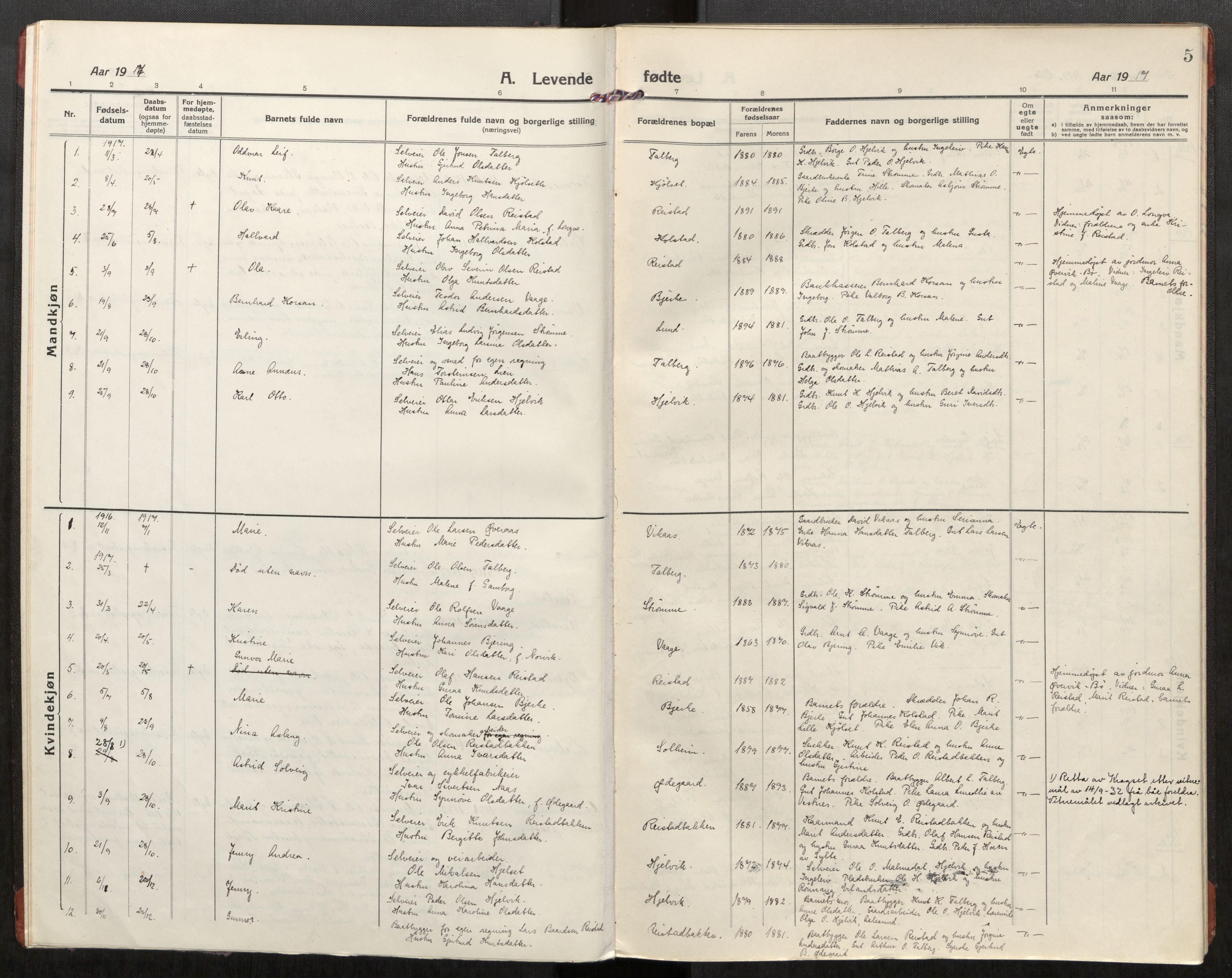 Ministerialprotokoller, klokkerbøker og fødselsregistre - Møre og Romsdal, SAT/A-1454/550/L0622: Ministerialbok nr. 550A02, 1916-1931, s. 5