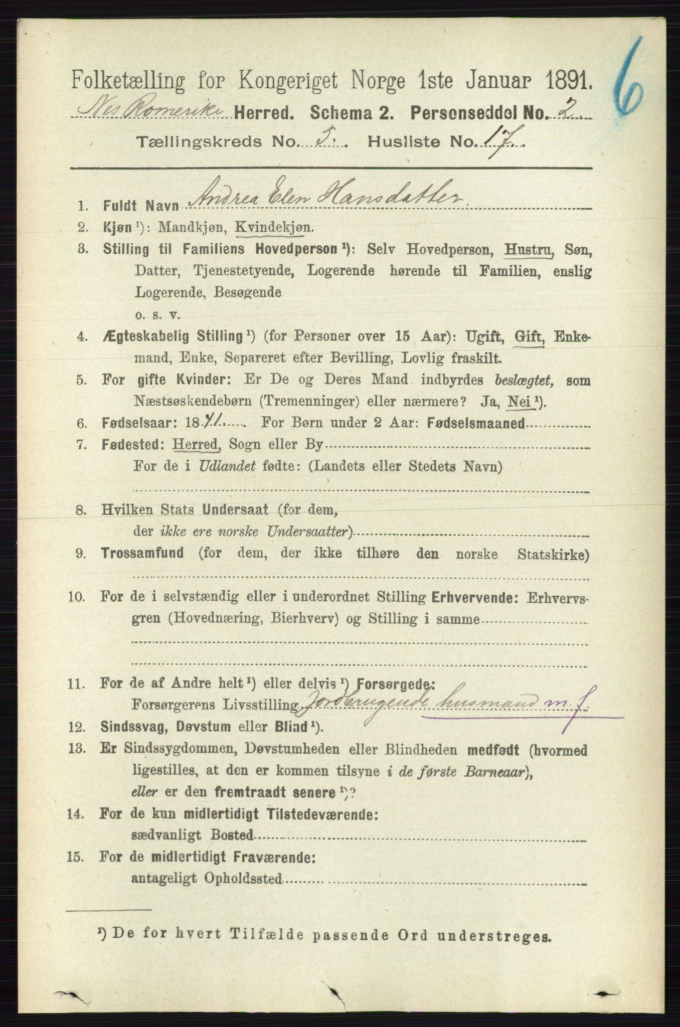 RA, Folketelling 1891 for 0236 Nes herred, 1891, s. 2882