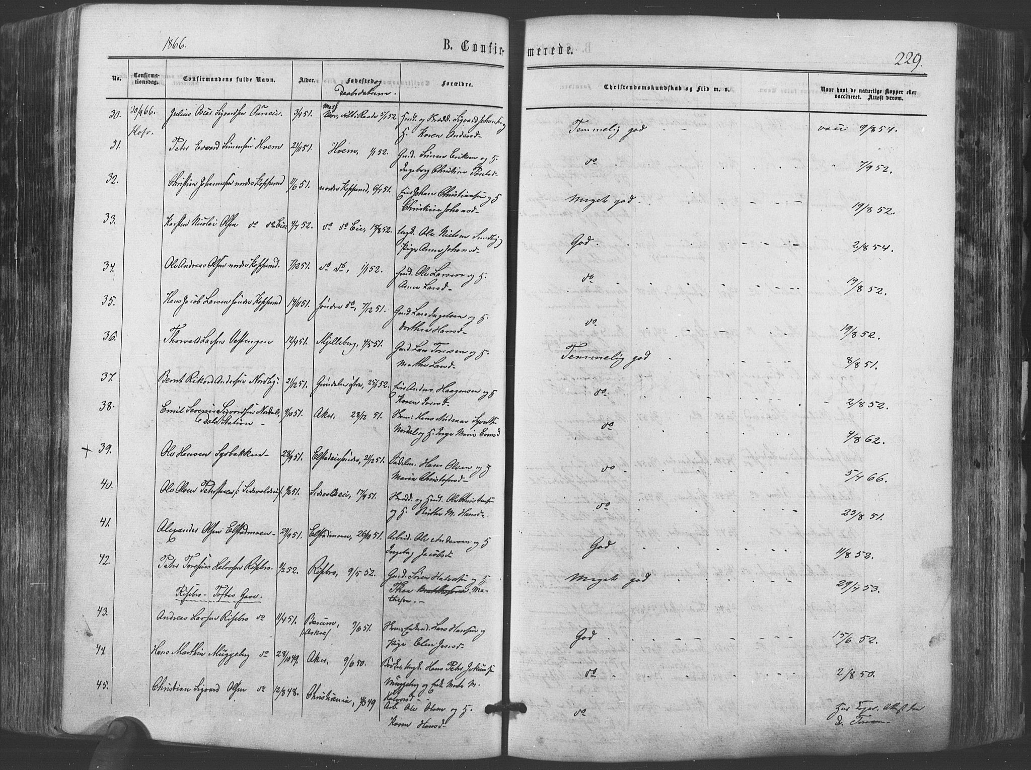 Ullensaker prestekontor Kirkebøker, AV/SAO-A-10236a/F/Fa/L0016: Ministerialbok nr. I 16, 1863-1875, s. 229