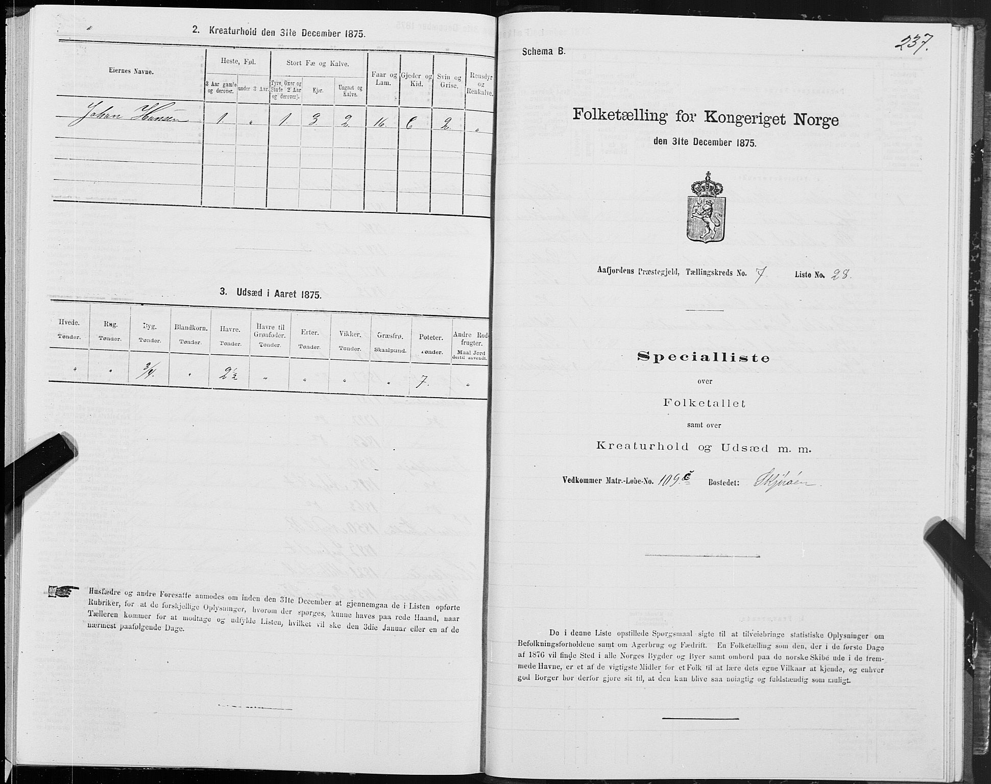 SAT, Folketelling 1875 for 1630P Aafjorden prestegjeld, 1875, s. 3237